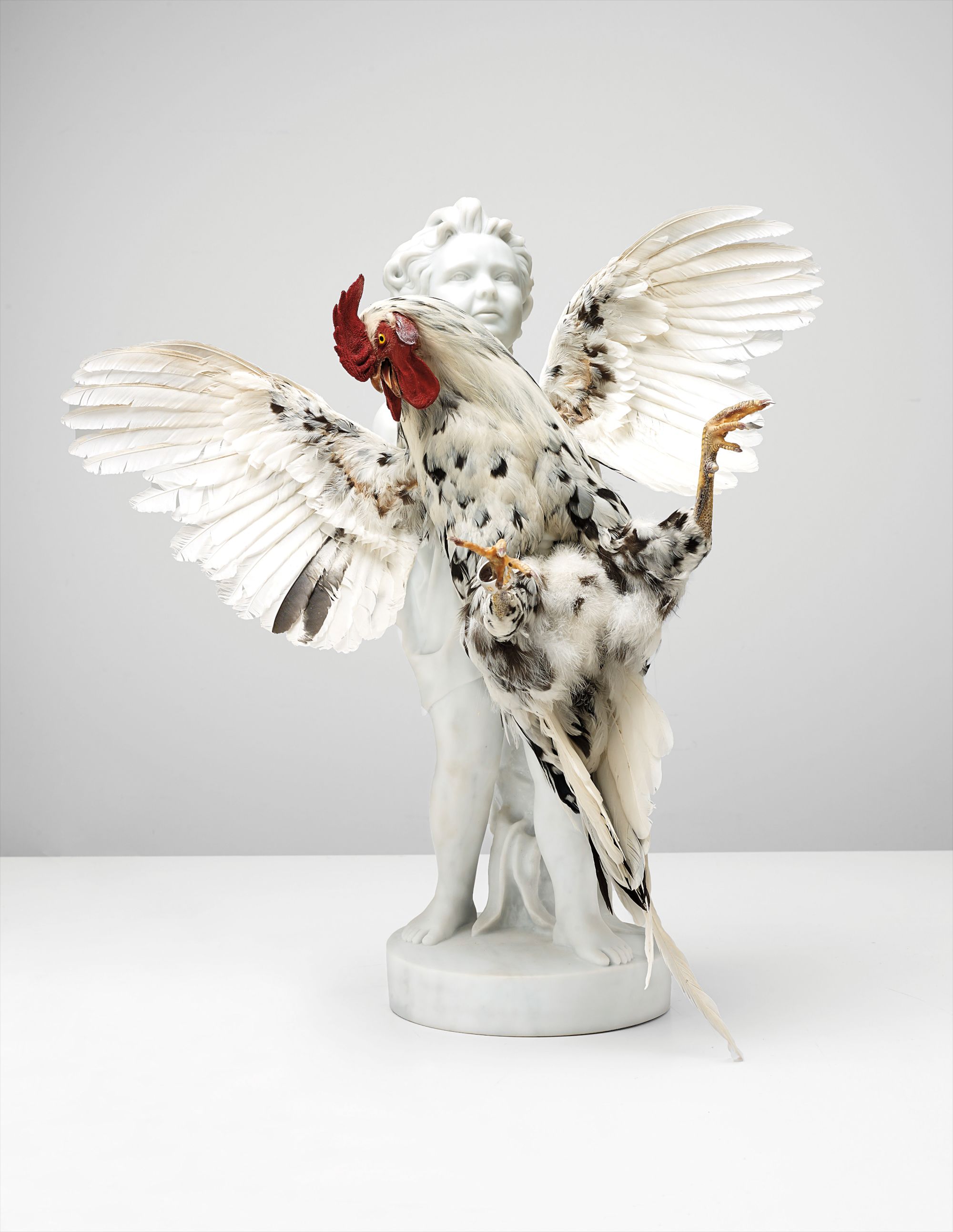 Koen Vanmechelen — Cosmopolitan Fossil