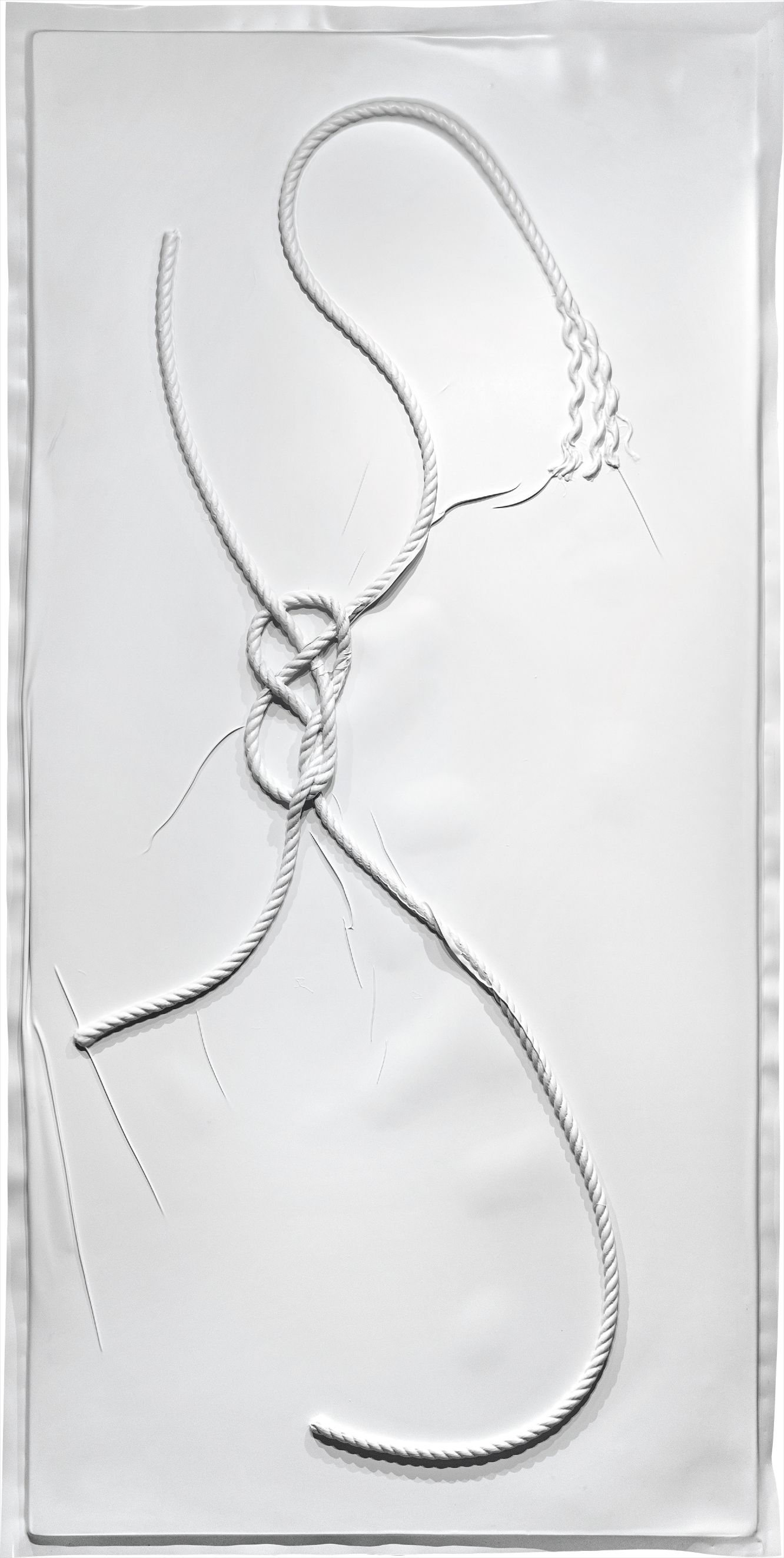 UV-cured inkjet on polyethylene vacuum-formed over knotted rope