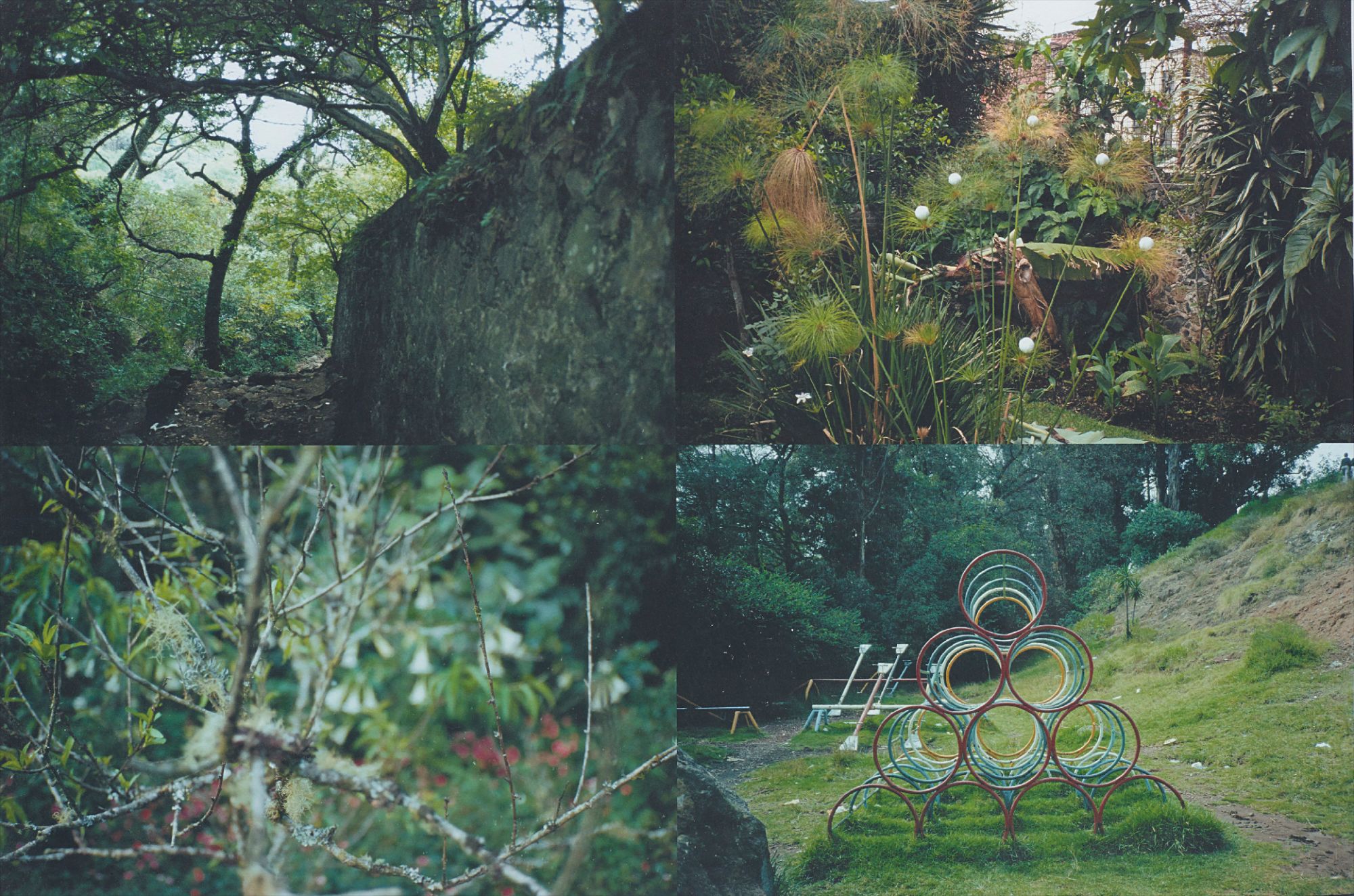 Gabriel Orozco — Quatro Parques