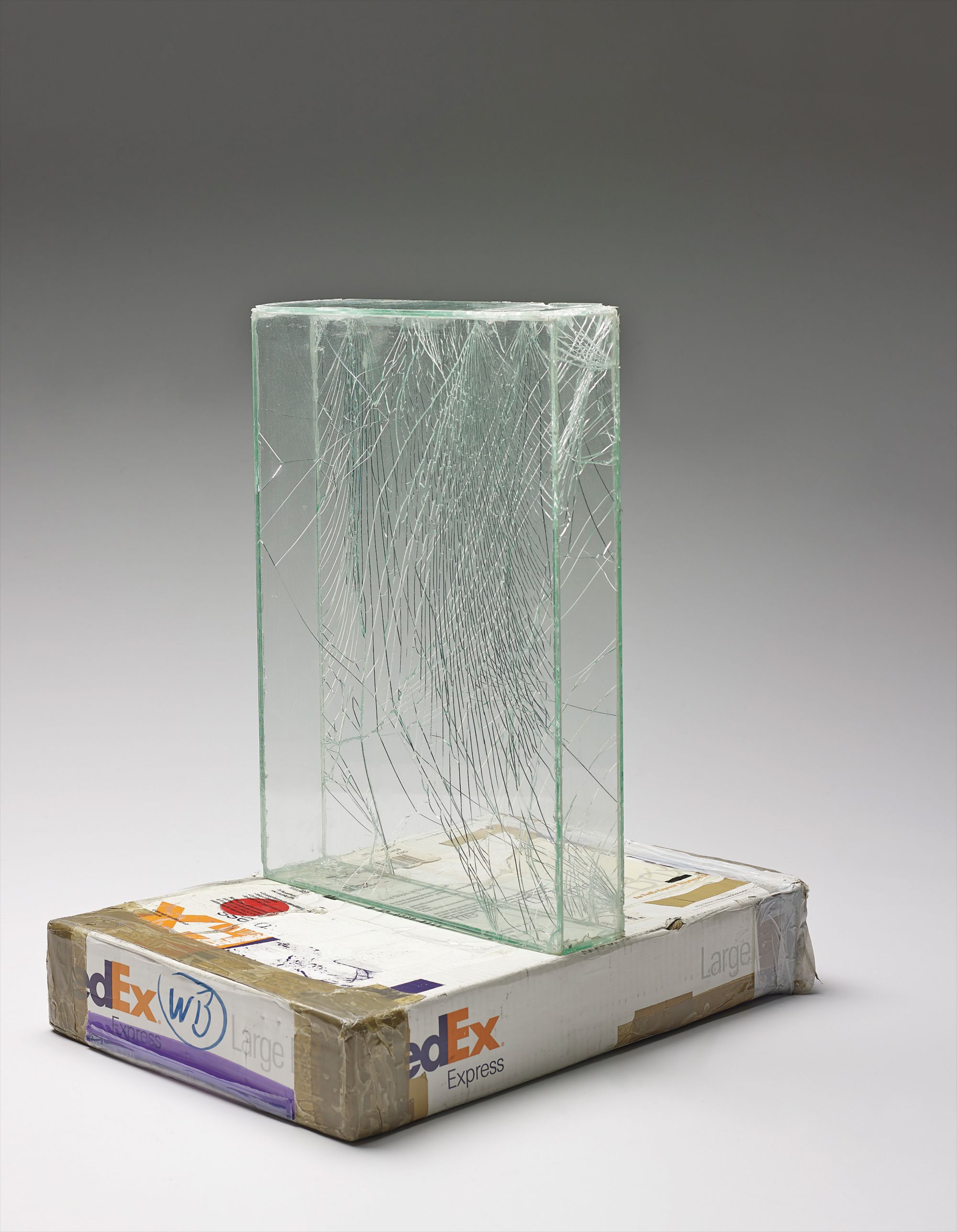 Walead Beshty — SSCC 139751 REV 10/05 "FedEx Large Box", Priority Overnight"