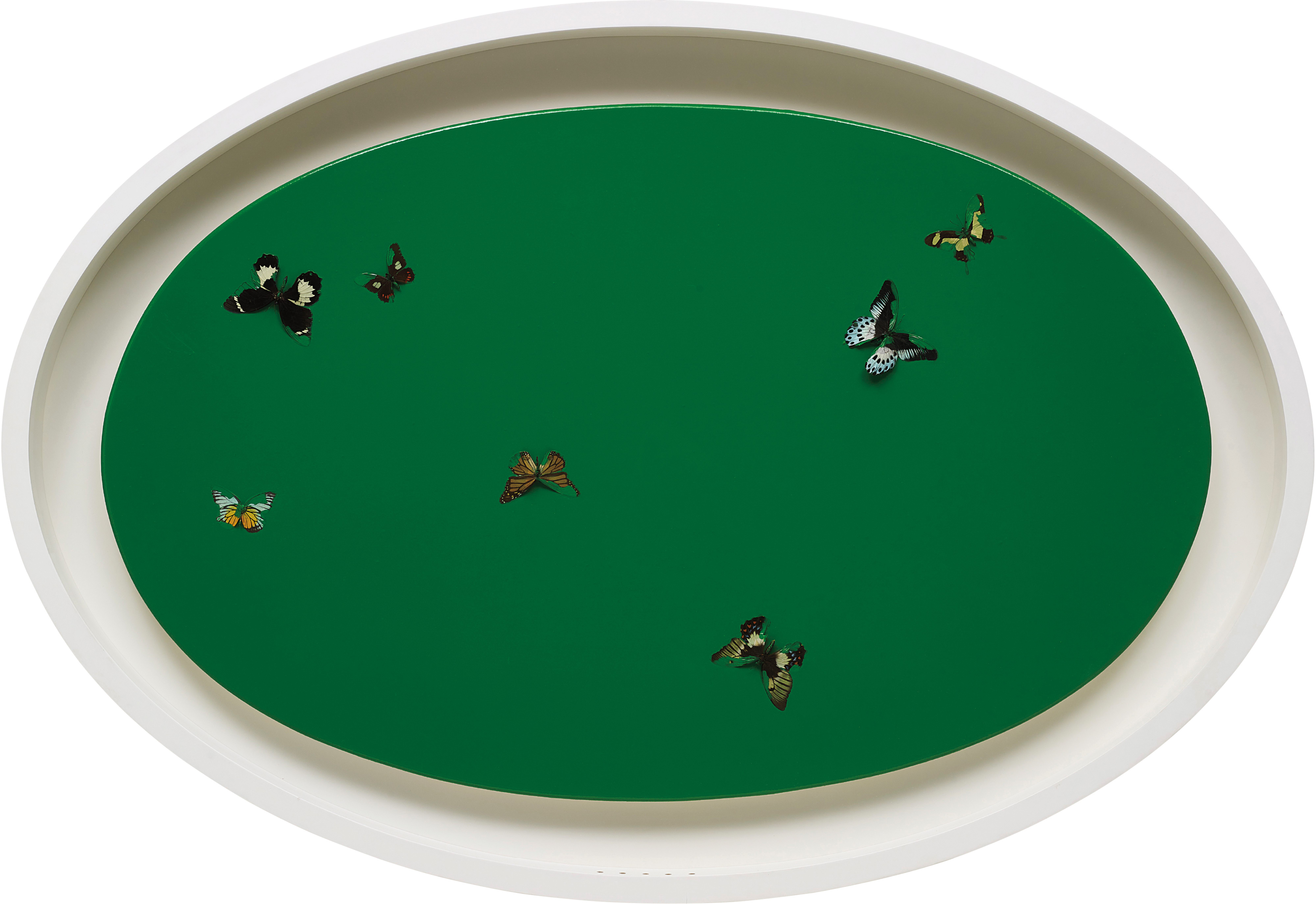 Damien Hirst — household gloss and butterflies on canvas