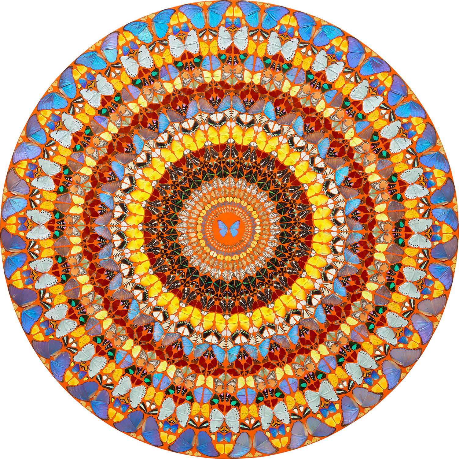 Damien Hirst — Omnipotence