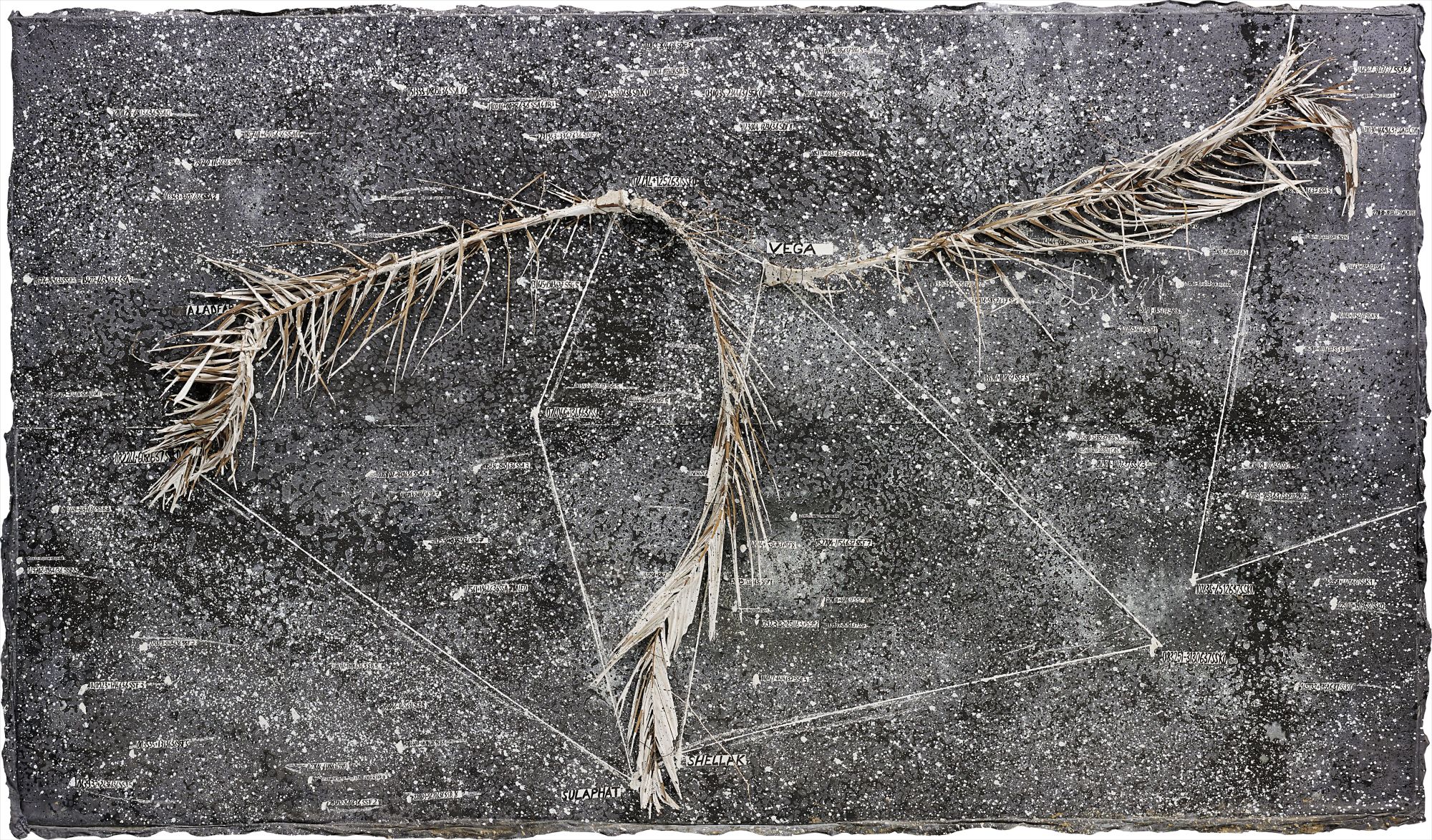 The Secret Life of Plants