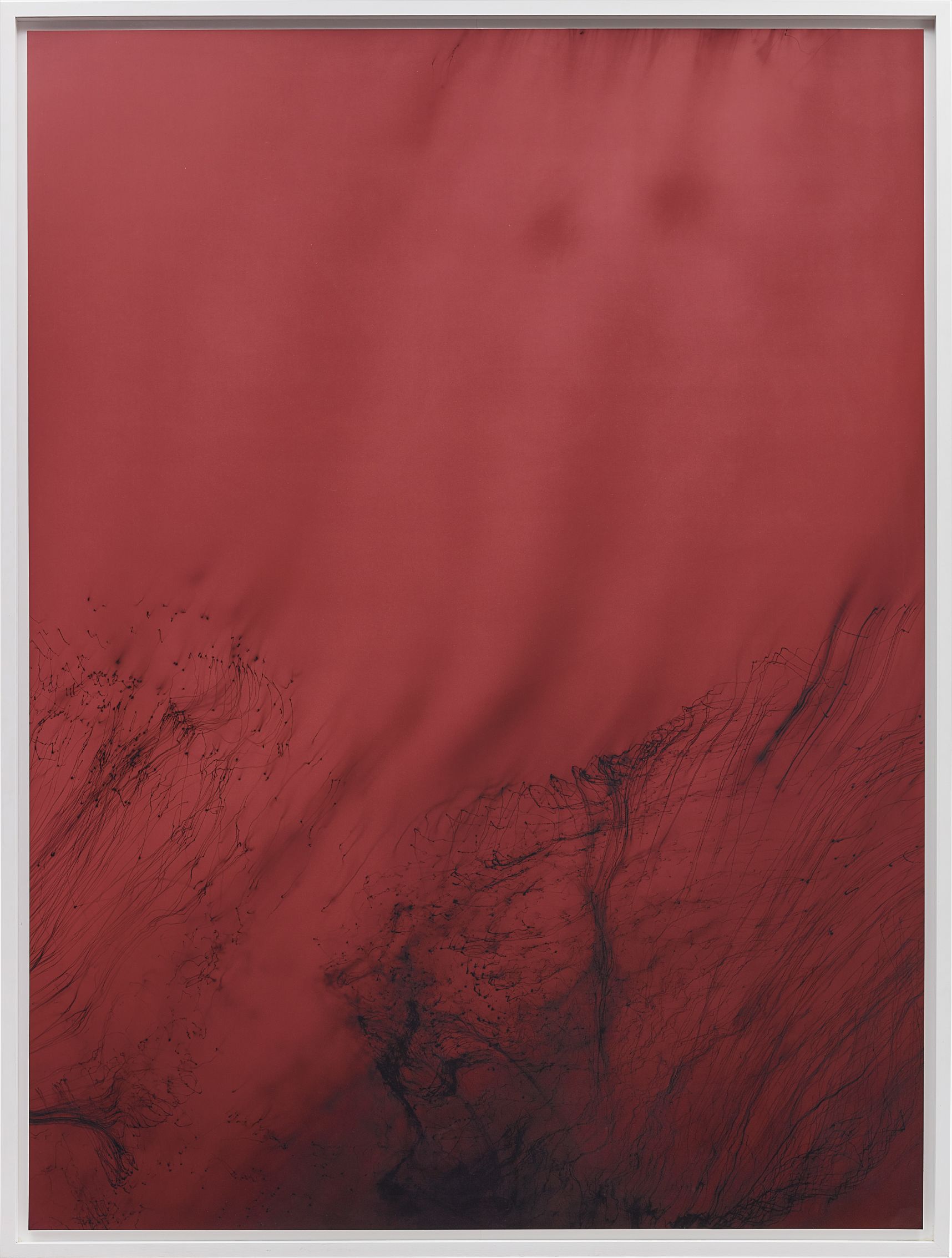 Wolfgang Tillmans — Einzelgänger VIII