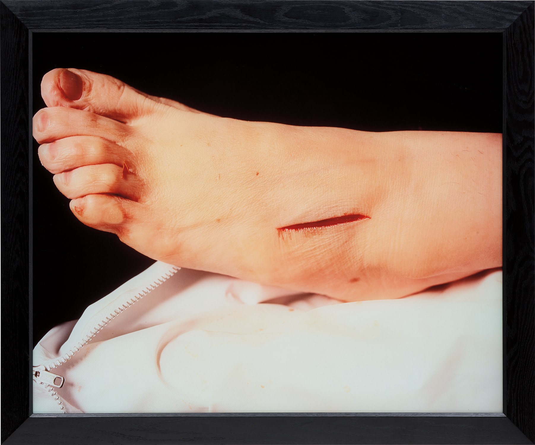 Andres Serrano — The Morgue (Rat Poison Suicide II)