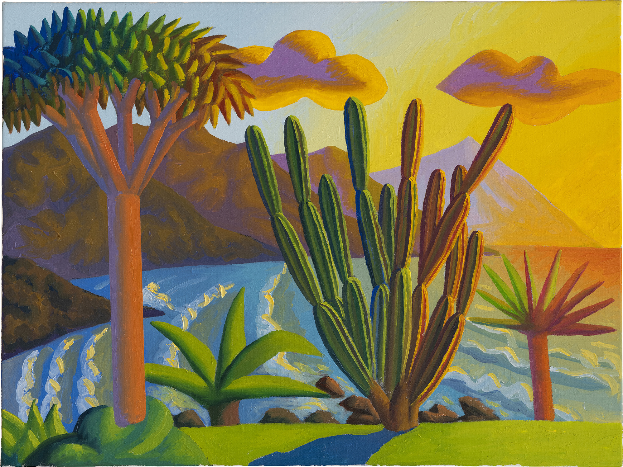 Salvo — Punta del Hidalgo