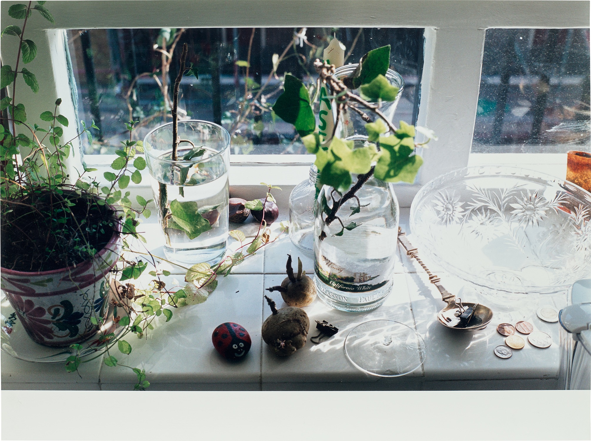 Wolfgang Tillmans — Bourne Estate