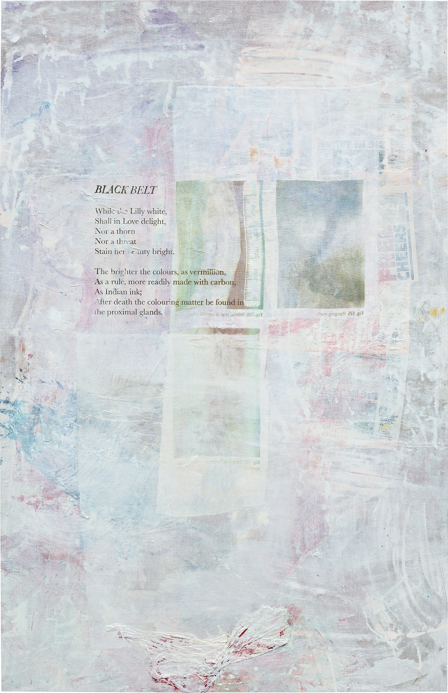 Mandy El-Sayegh — White Grounds (black belt)