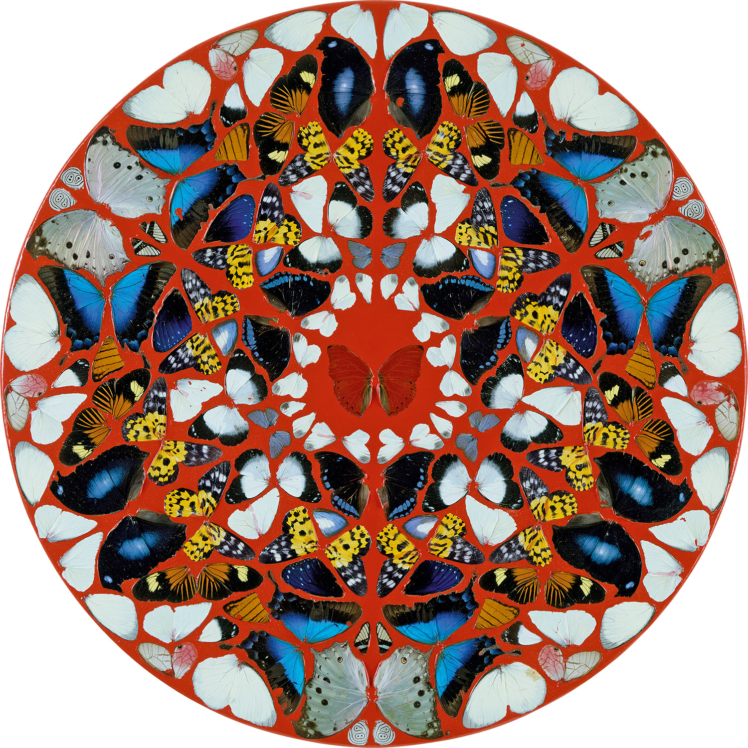 Damien Hirst — Psalm 6: Domine, ne in furore.