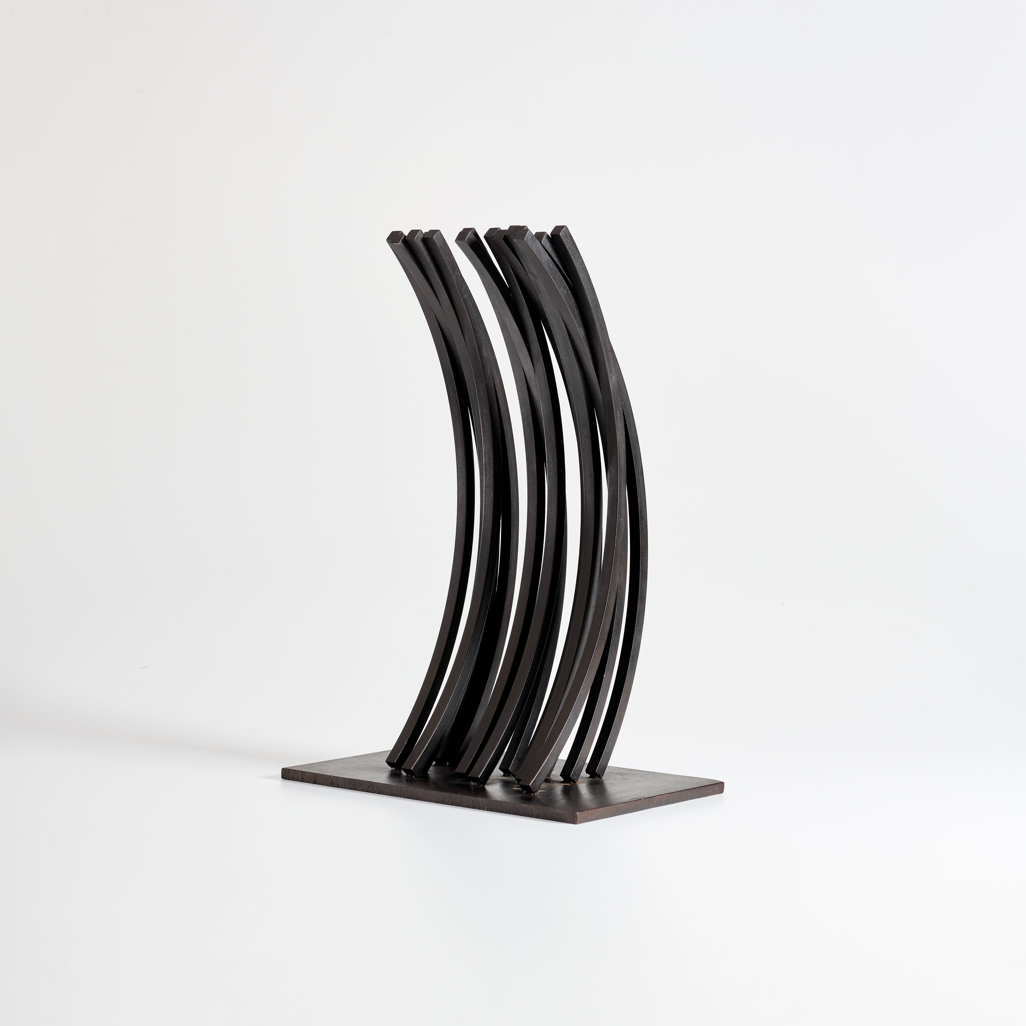 Bernar Venet — 91.5° Arc x 14
