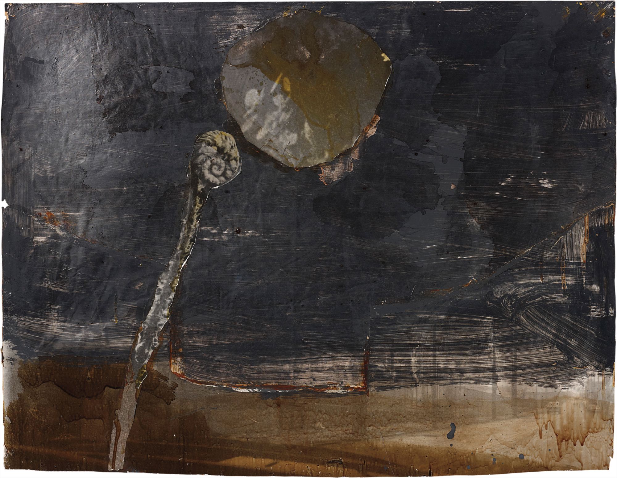 Aaron's rod turning into a snake