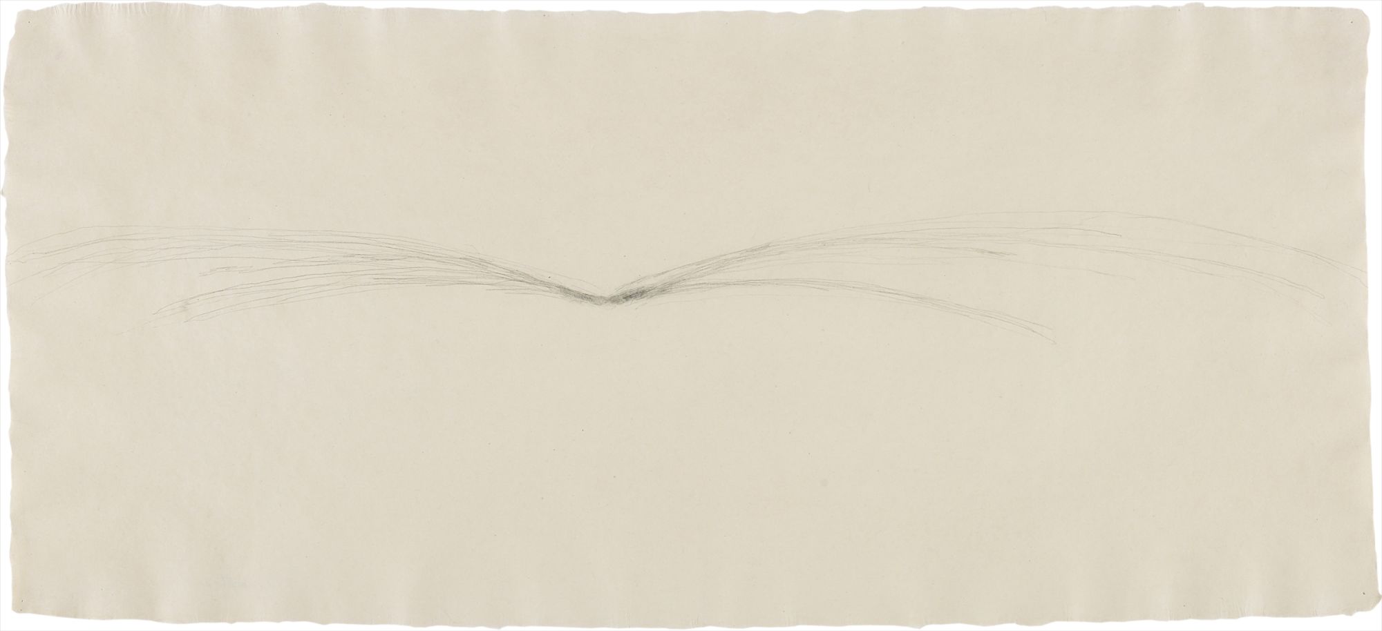 William Anastasi — Blind Drawing