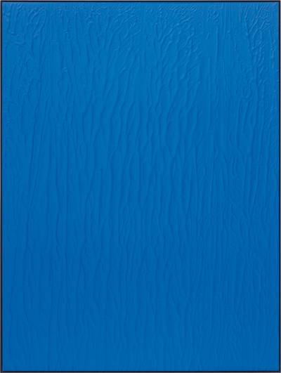 IMG_814 (Internet Blue)