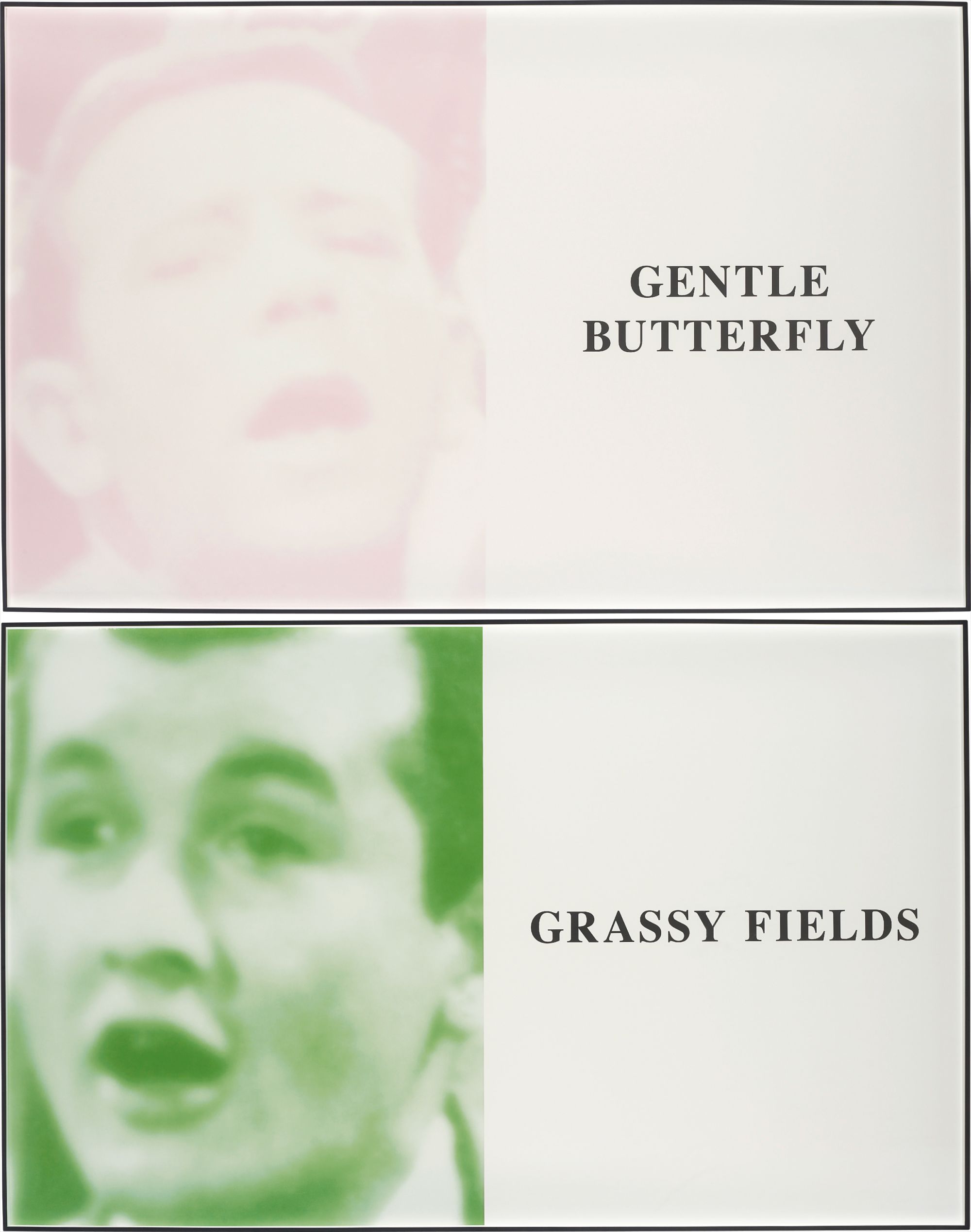 John Baldessari — Prima Facie (Fifth State): Gentle Butterfly / Grassy Fields