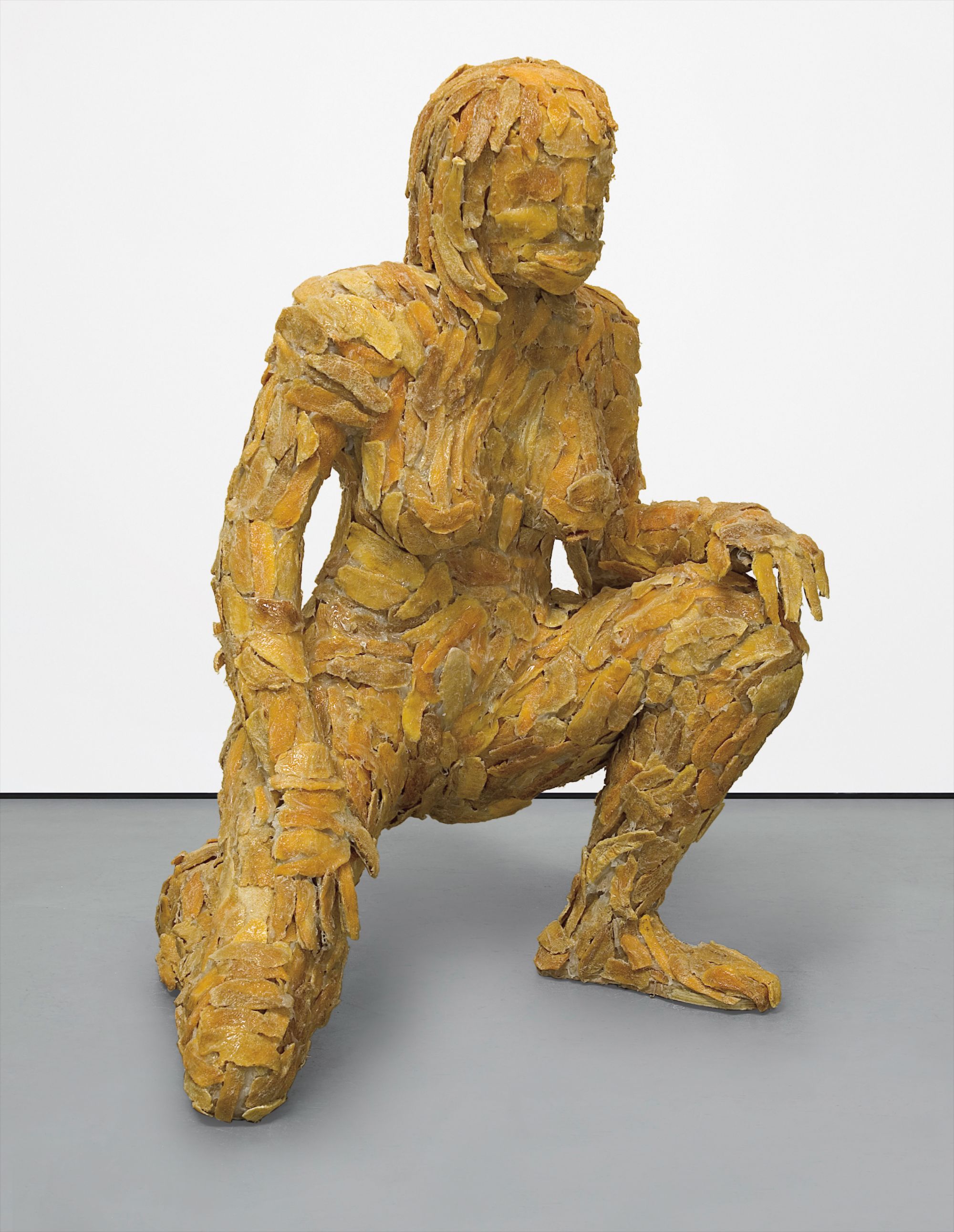 Ryan Trecartin — Mango Lady