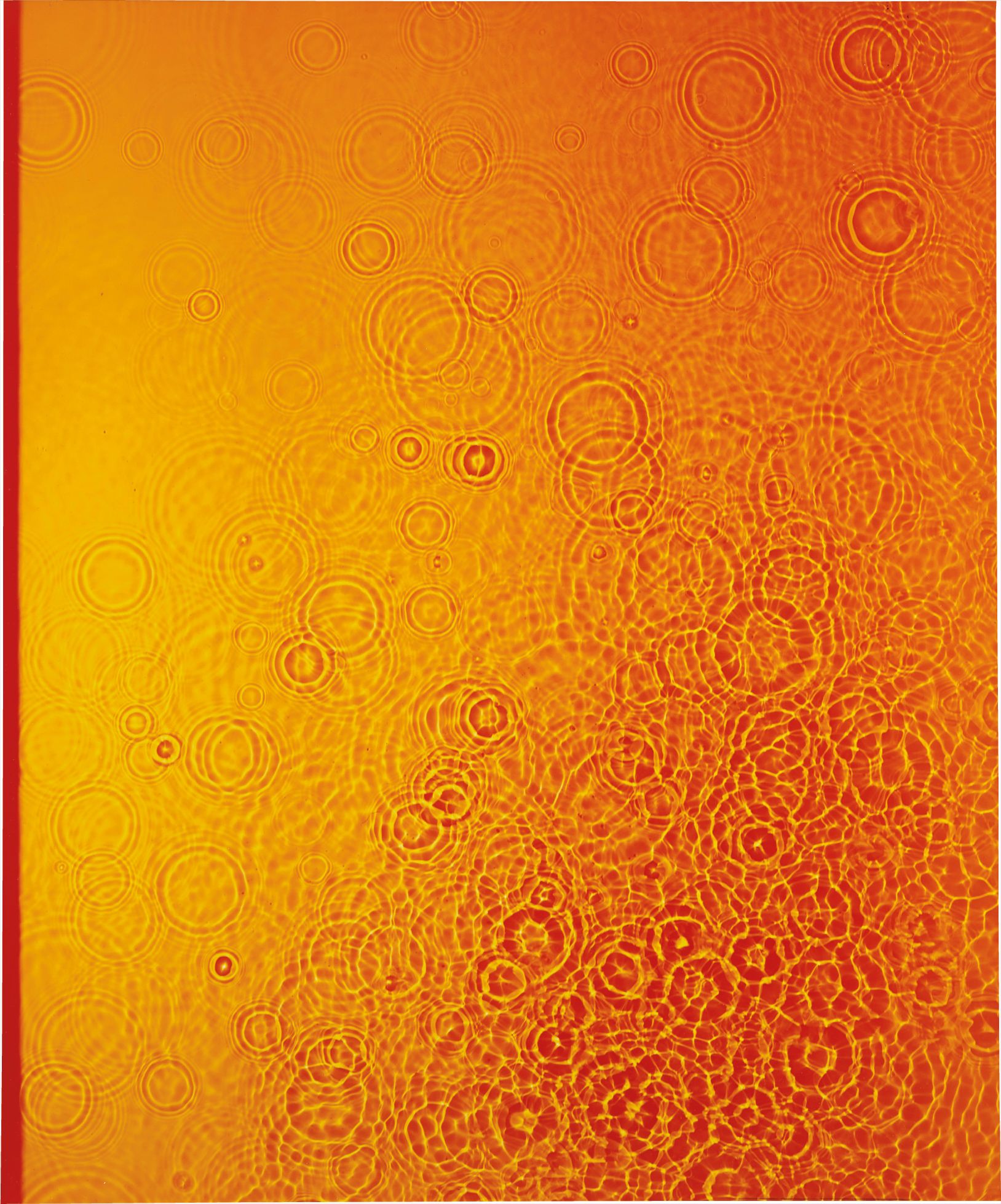Adam Fuss — Cibachrome photogram, flush-mounted on board