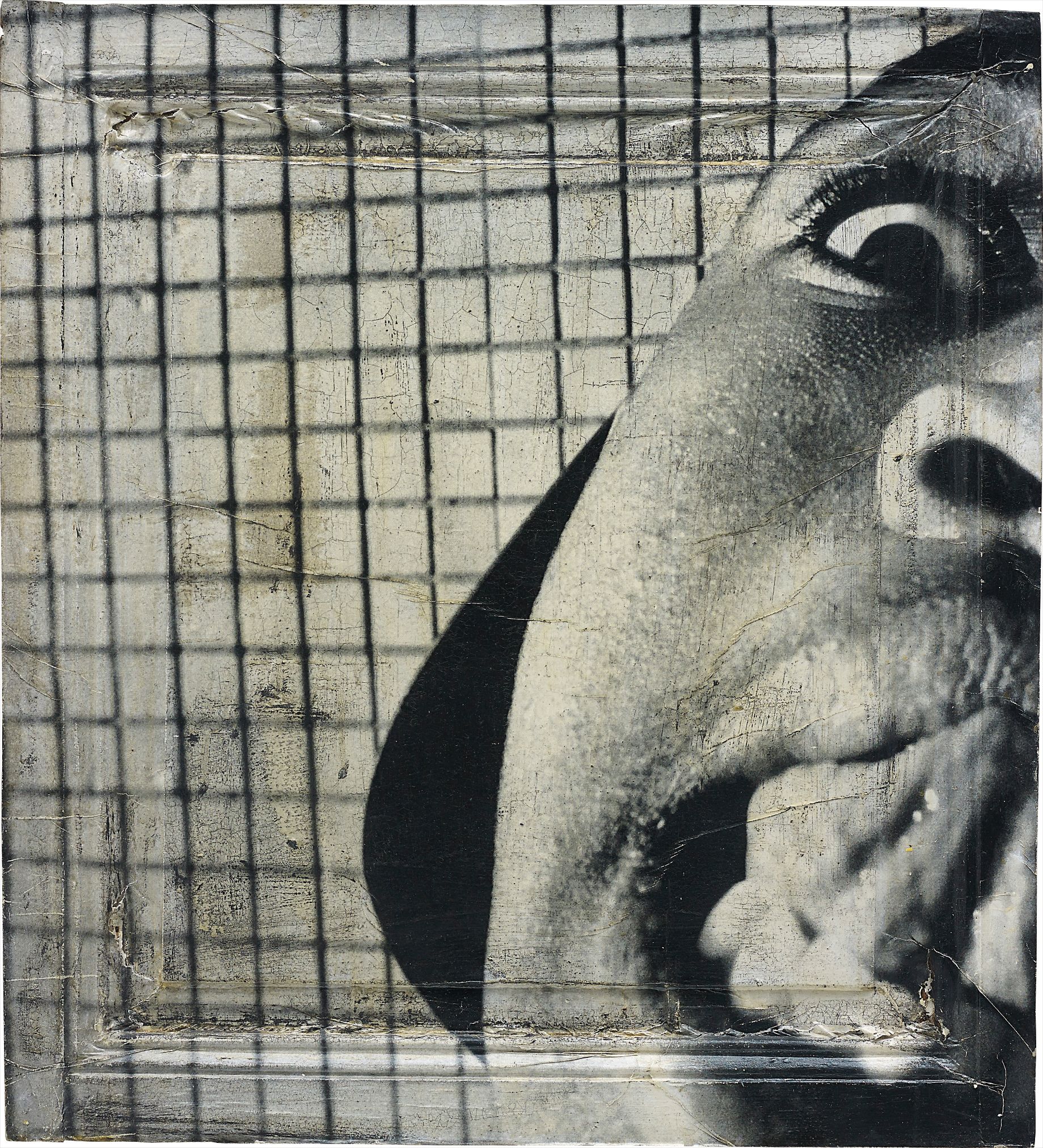 JR — Adama, Montfermeil, Portrait d'une Generation