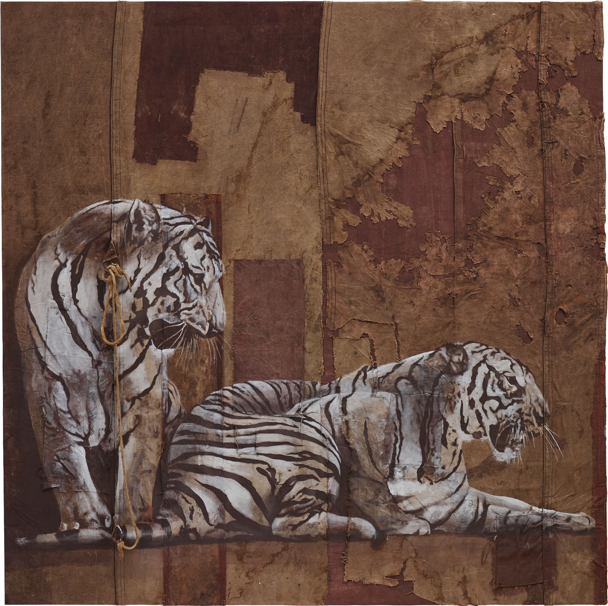 Luca Pignatelli — Tigre