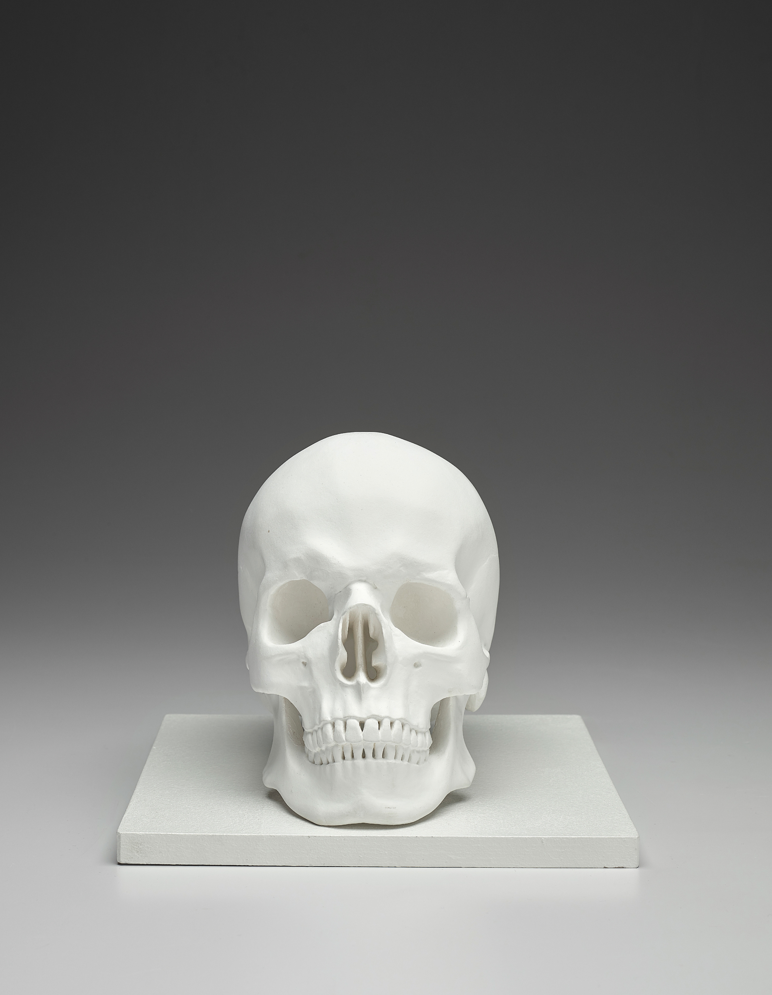 Katharina Fritsch — Totenkopf