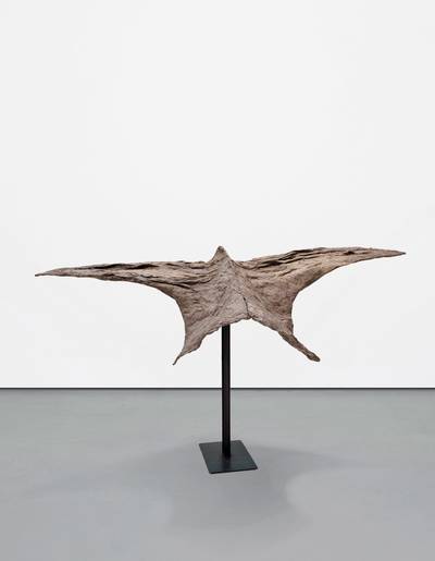 Bird 2