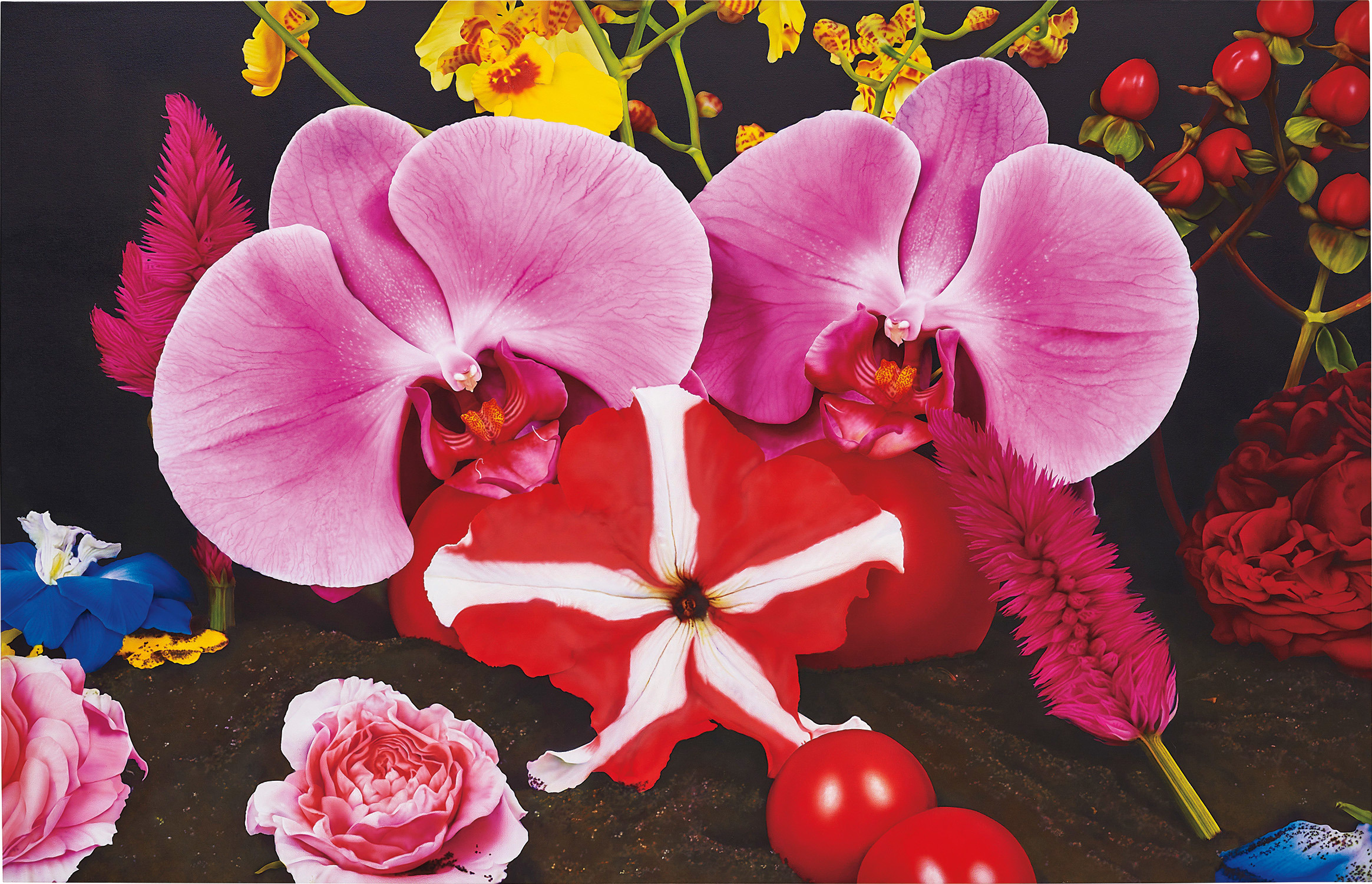 Marc Quinn — Under the Volcano (Pinacate, Mexico)