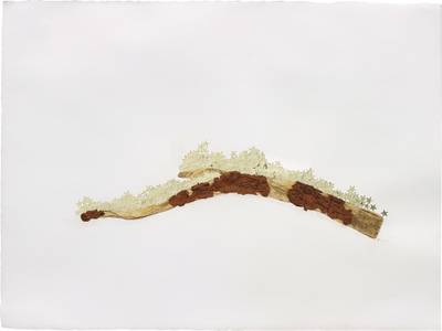 Noticed, at rest (a light)