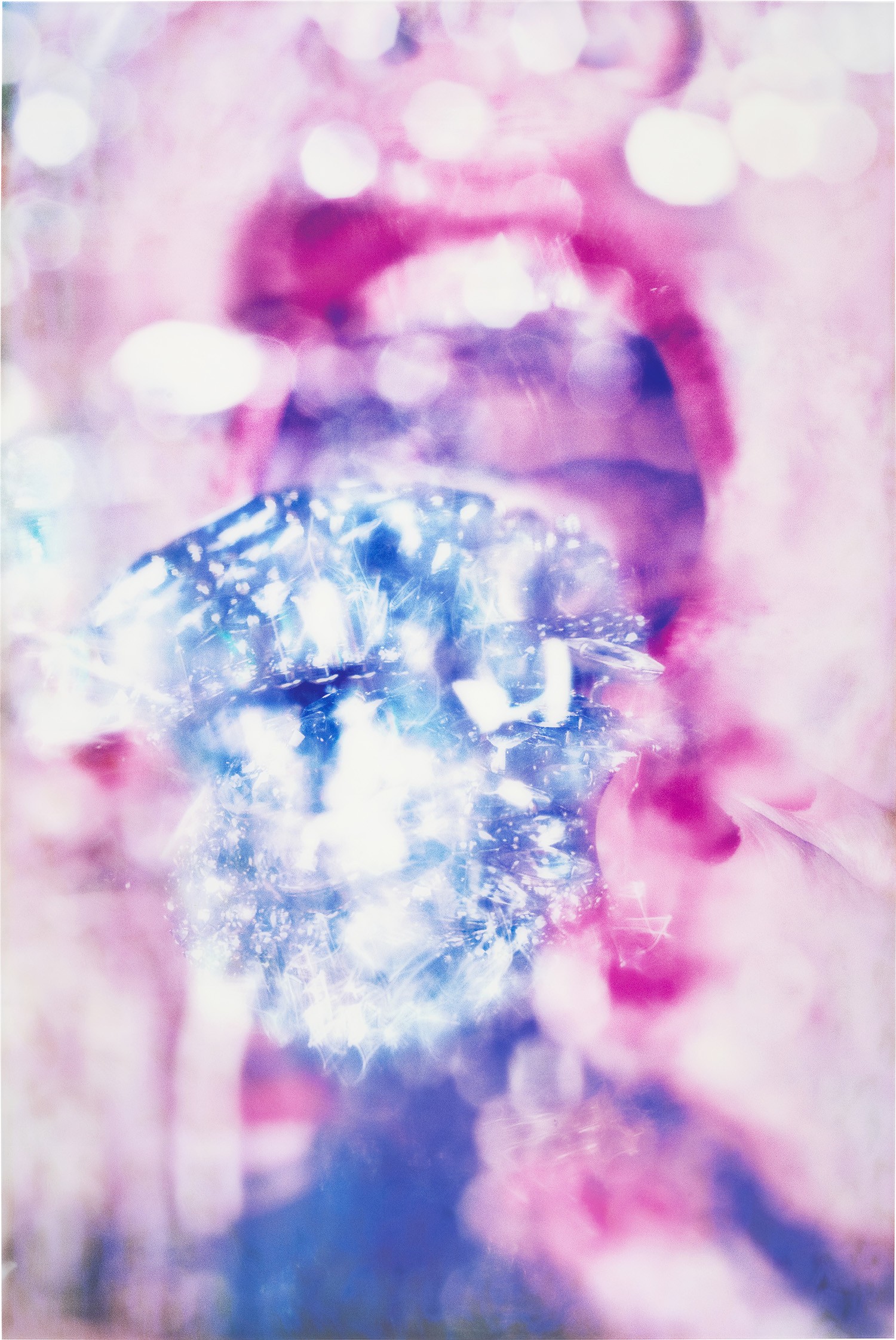 Marilyn Minter — Big Mac