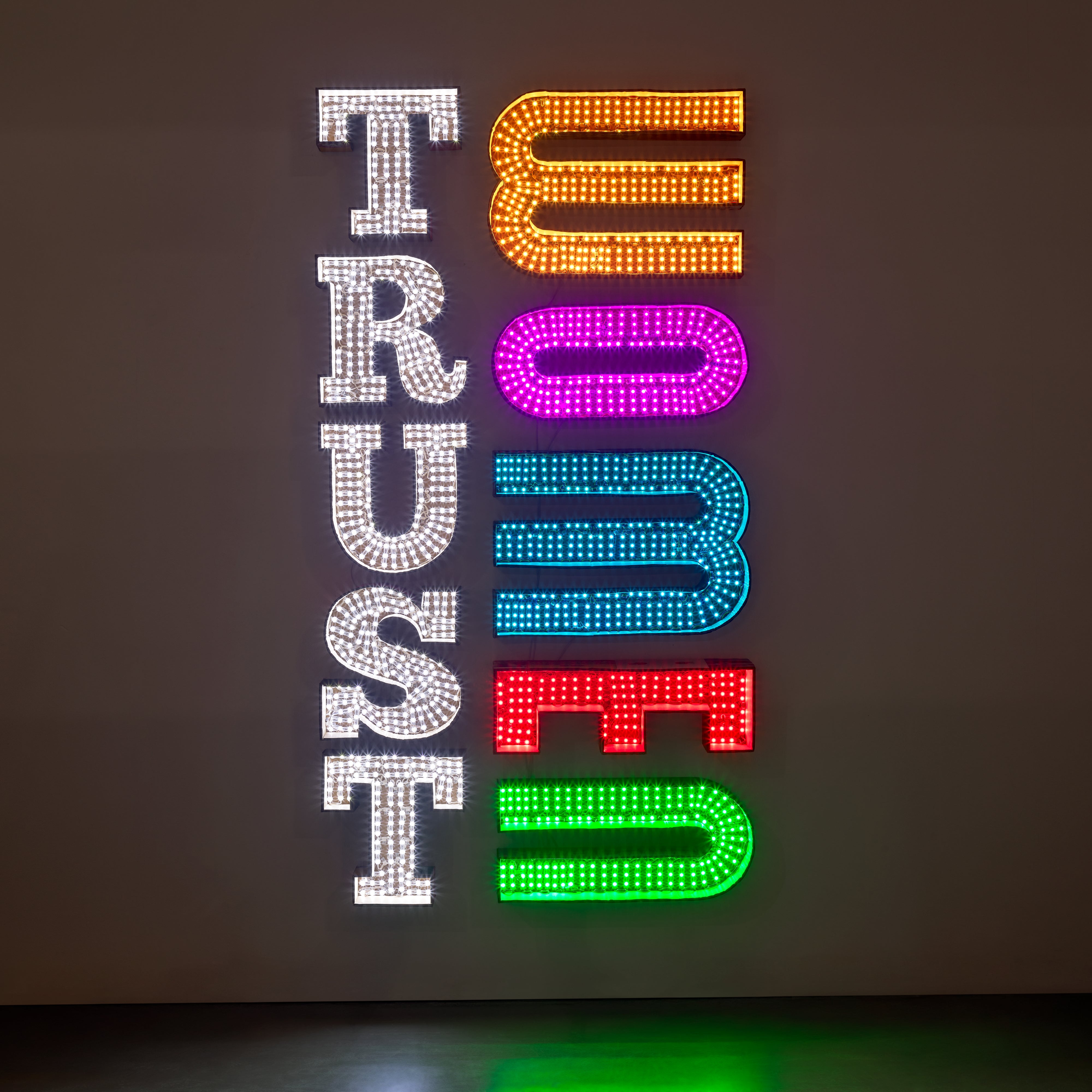 Andrea Bowers — Trust Women