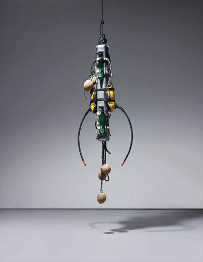 Cousteau Totem (Jacques and his Pudenda)