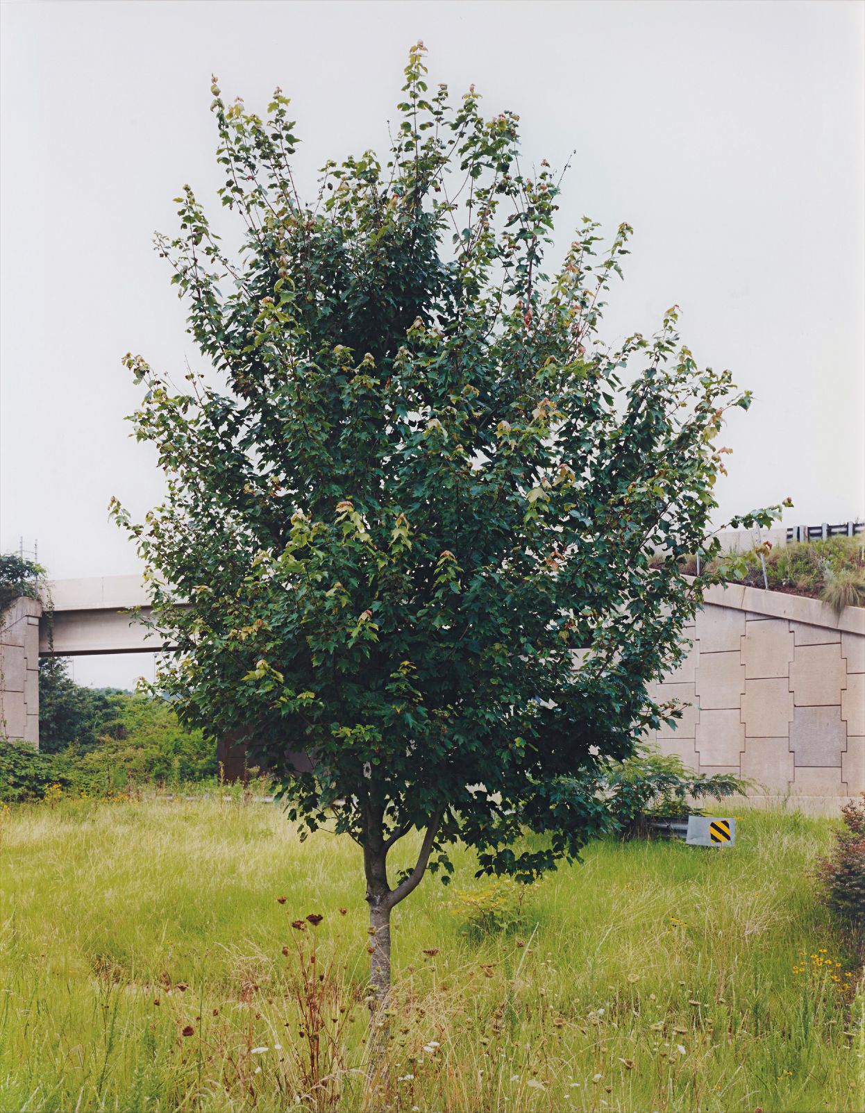 The Neutral Territory