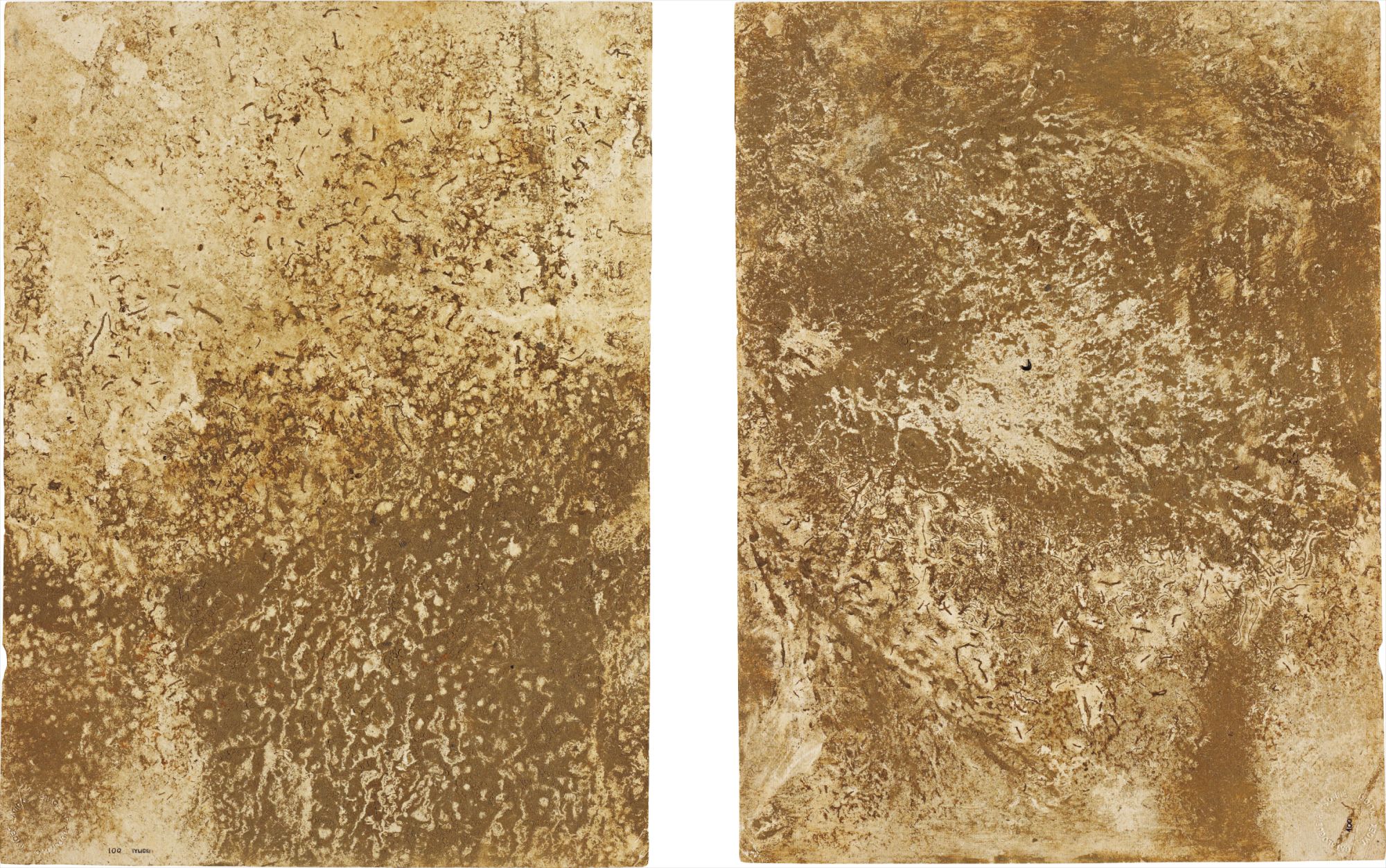 Jacek Tylicki — 11 Days in the Rushes of the River + Rain, Hoje River, S.W. Of Lund, Sweden