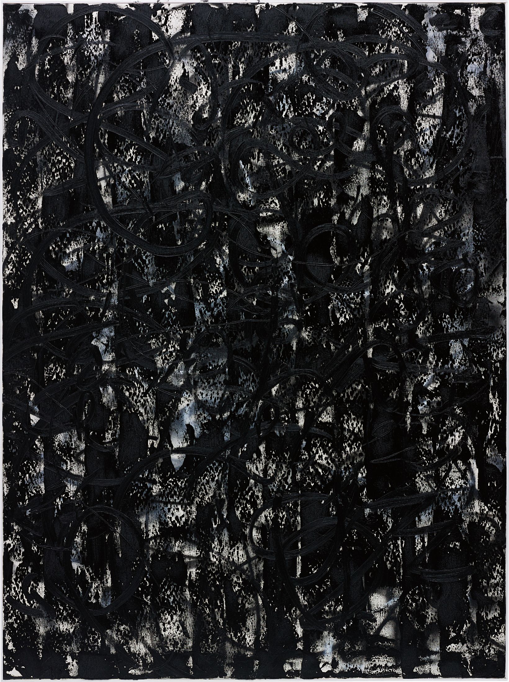 We Were Talking About Ninjas Earlier