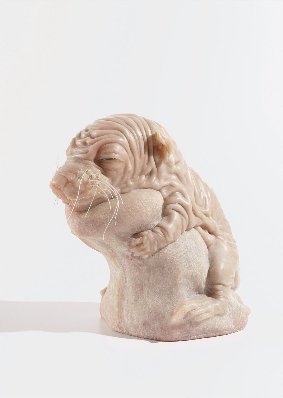 Goshka Macuga — Still / Life