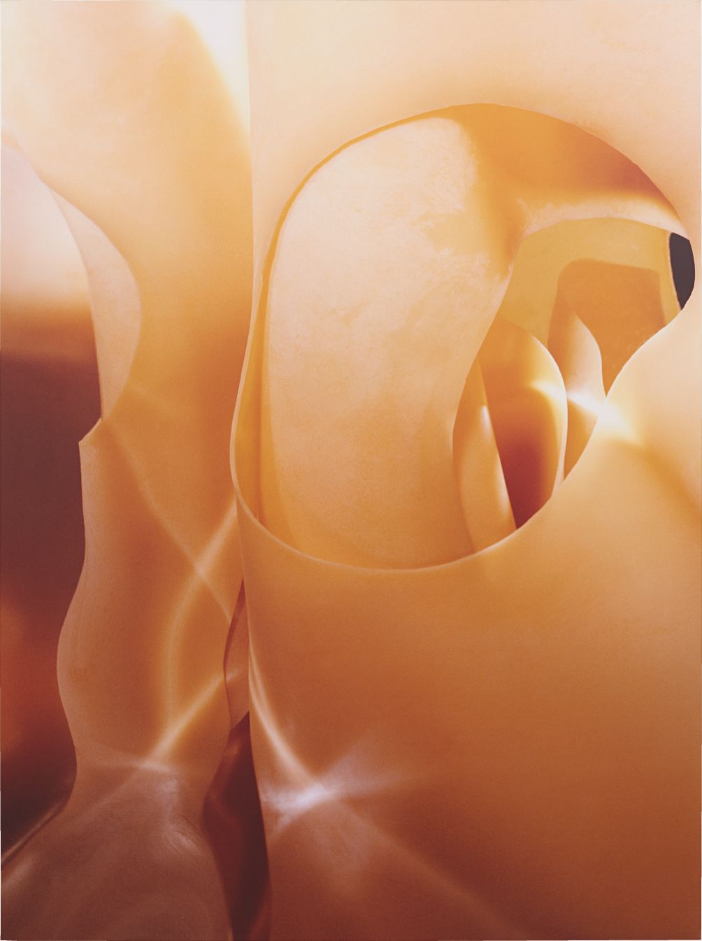 c-print Diasec mounted