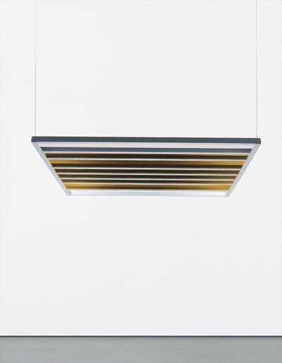 Potentiated Discussion Platform