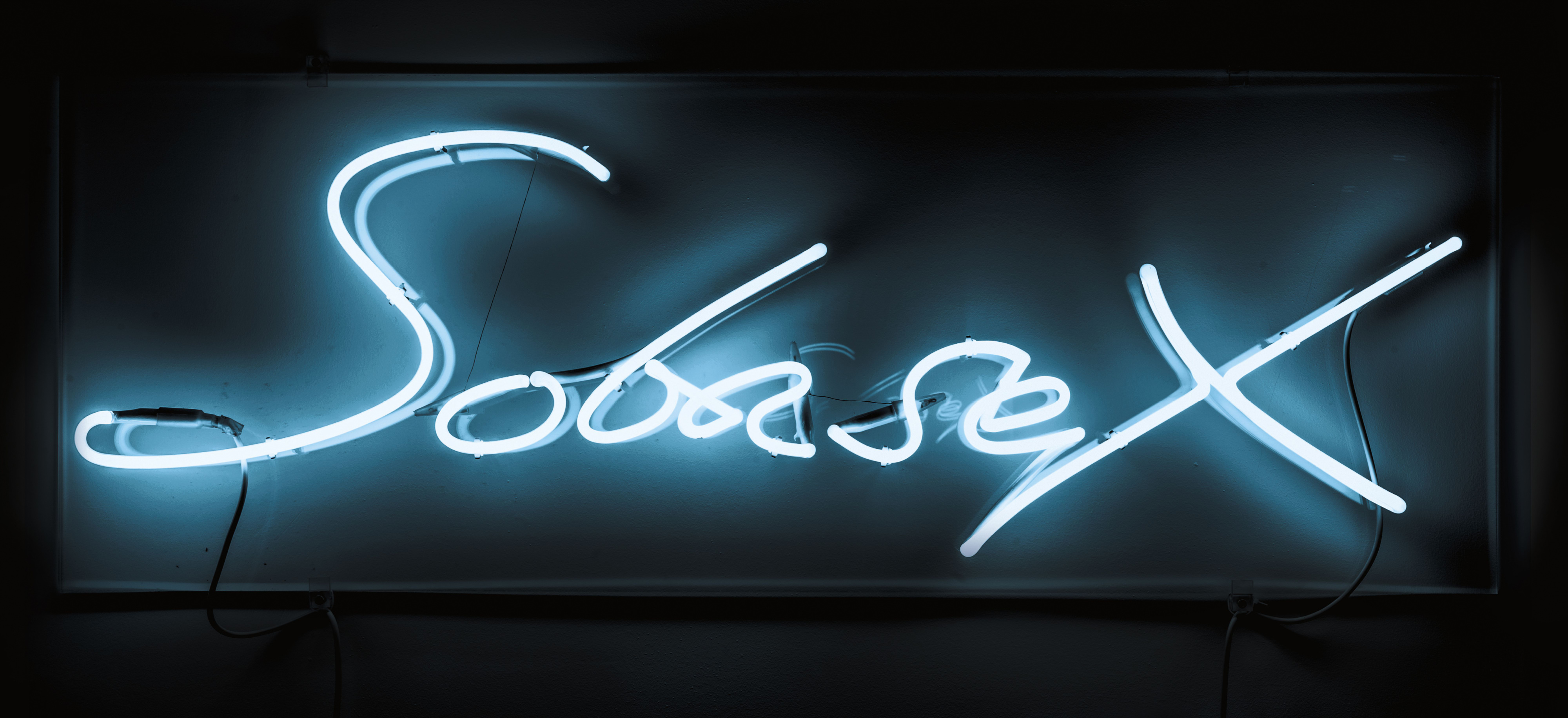 Tracey Emin — Soba Sex