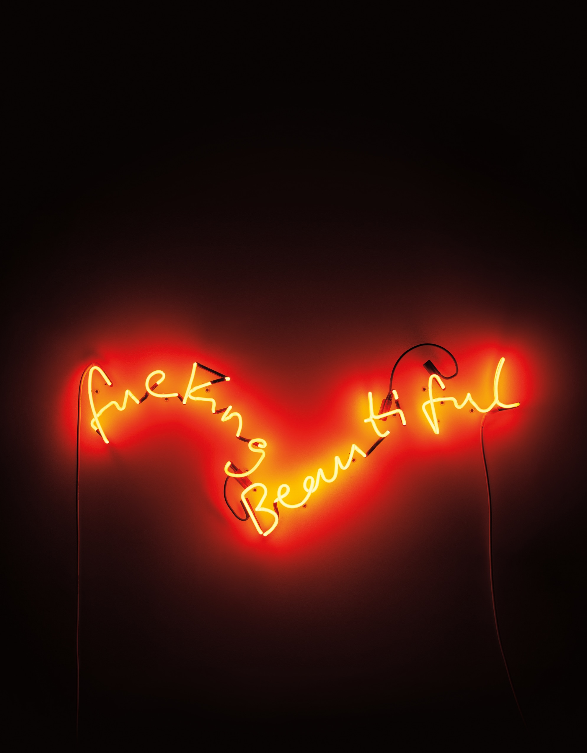 Tim Noble and Sue Webster — A 'Fucking Beautiful' detail