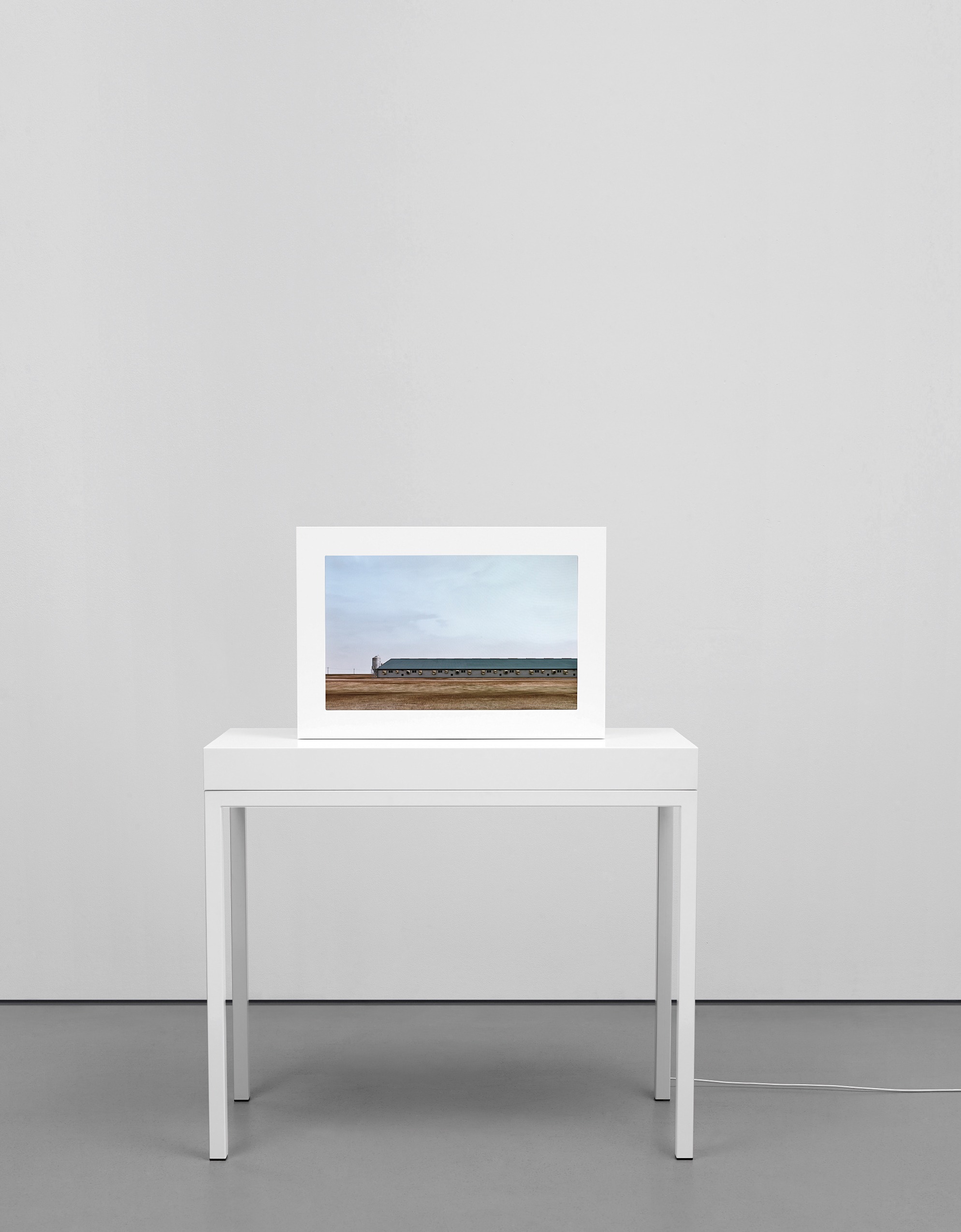 John Gerrard — Sow Farm (Near Libbey, Oklahoma)