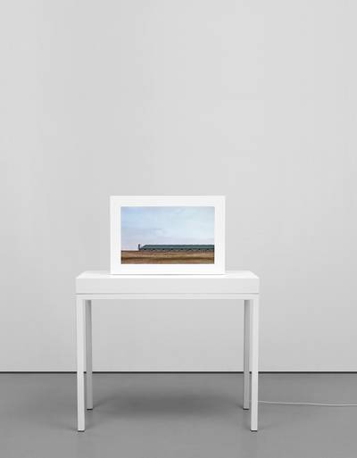 Sow Farm (Near Libbey, Oklahoma)