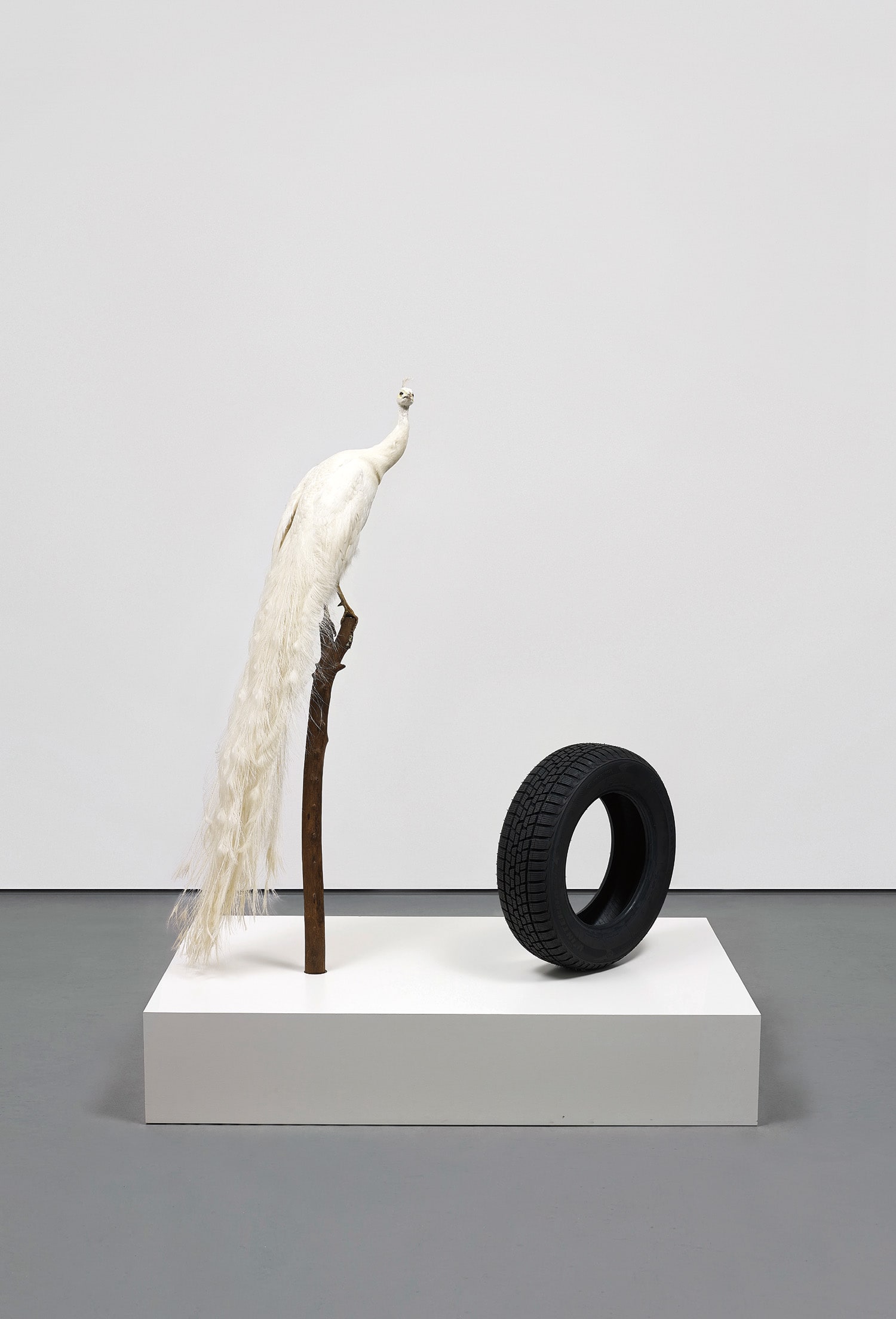 Sylvie Fleury — Color Lab - Free study with white peacock