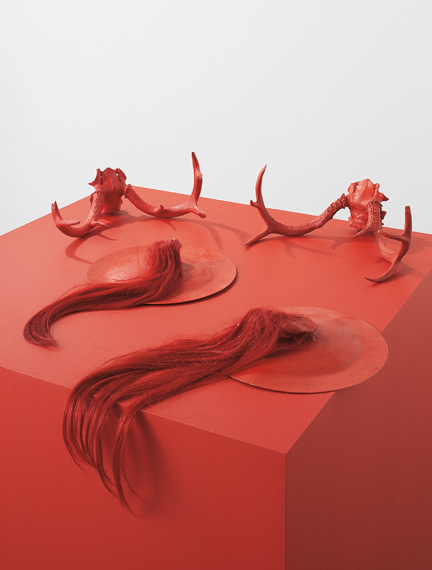 Terence Koh — Zhang zyi Buddha fly earth (Anedote/Penedote)