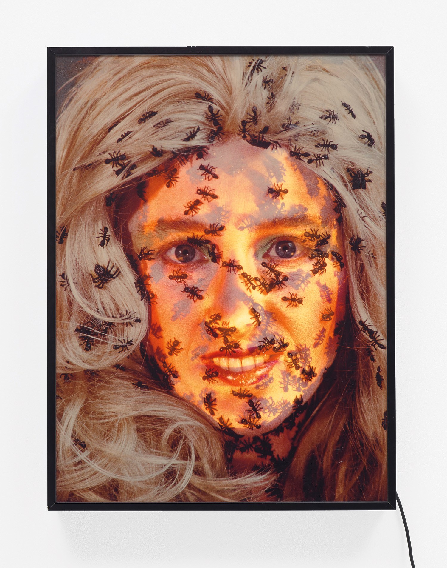 Cindy Sherman — two colour transparencies in lightbox