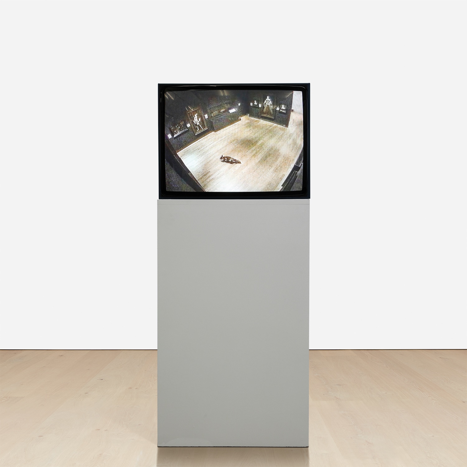 Francis Alÿs — The Nightwatch