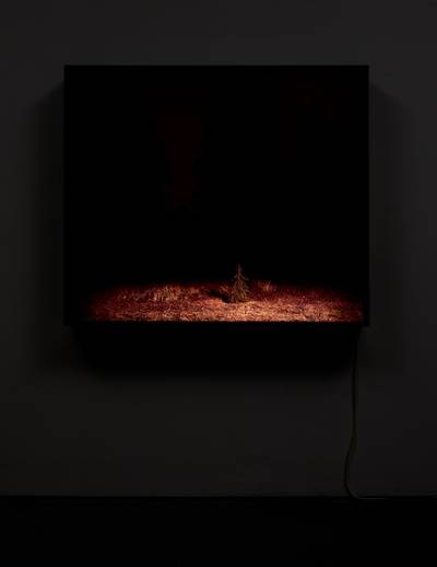 Nightscape Lightbox (Fourth)