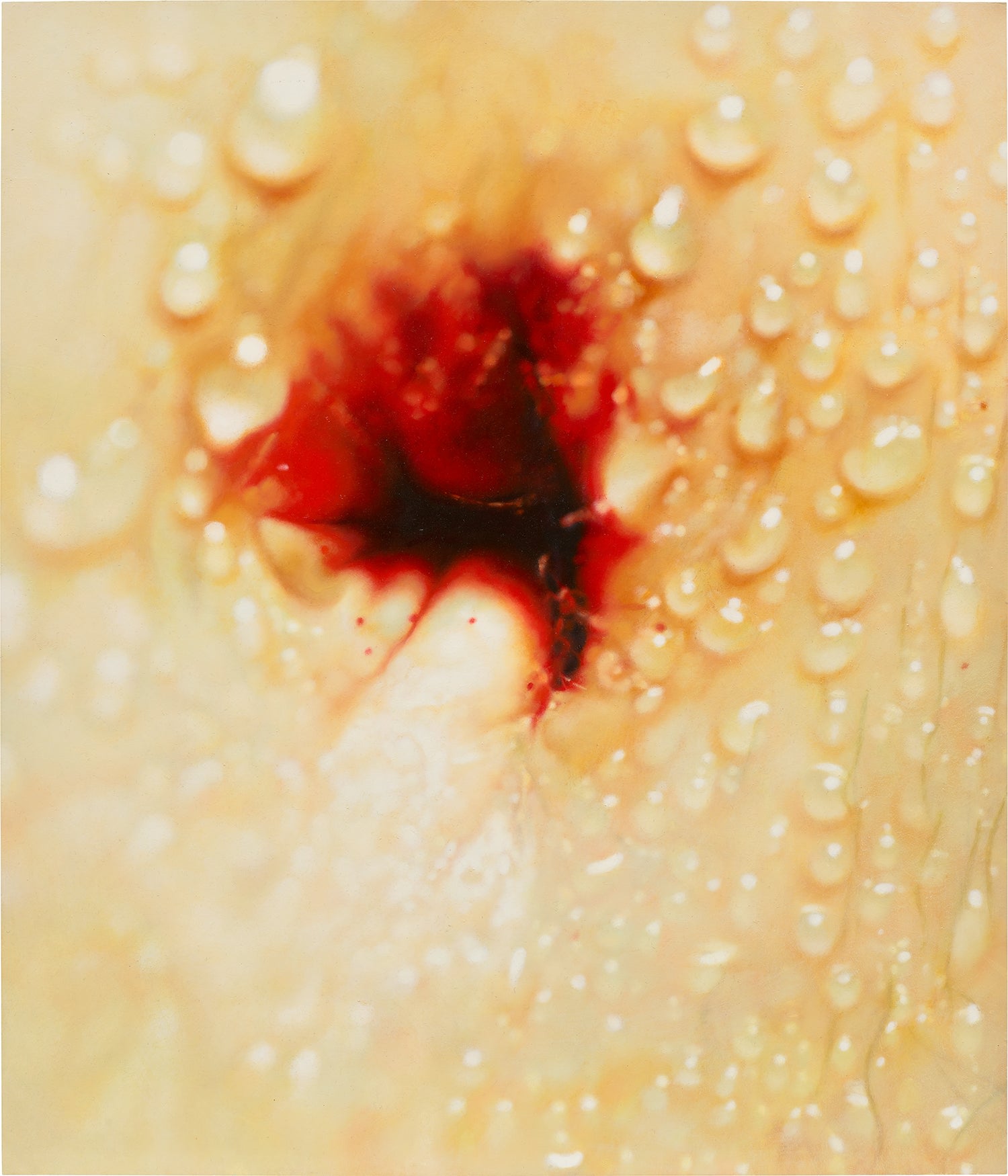 Marilyn Minter — Belly
