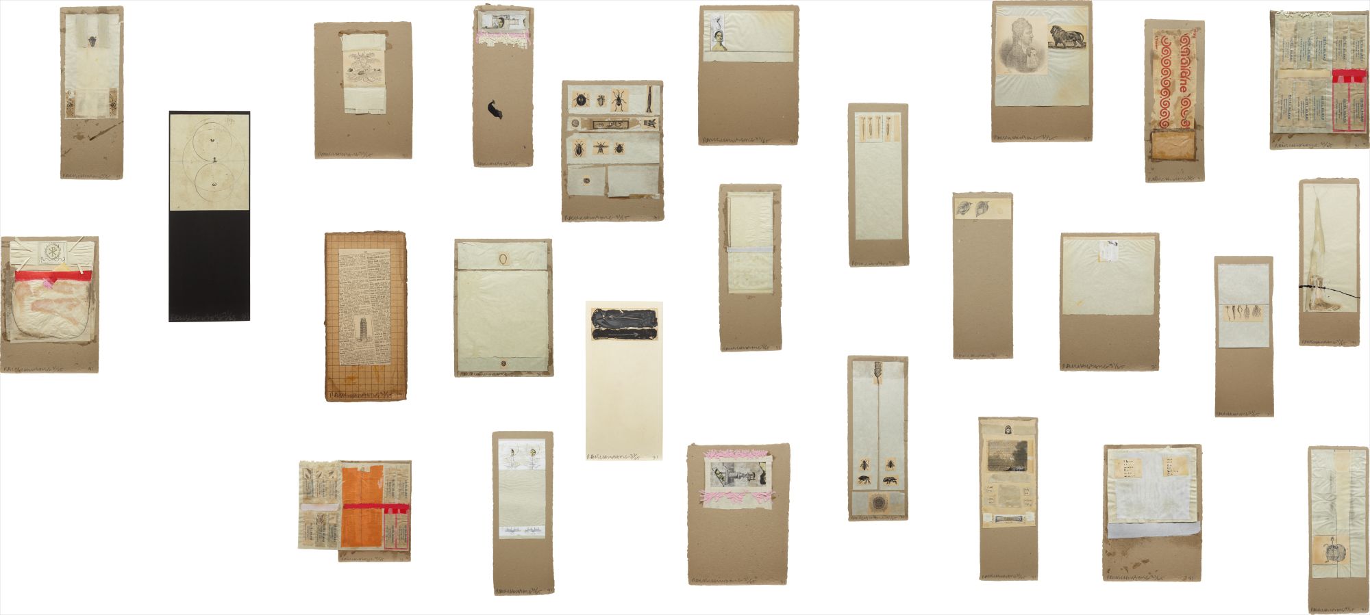 Shirtboards, Morocco, Italy '52 Portfolio