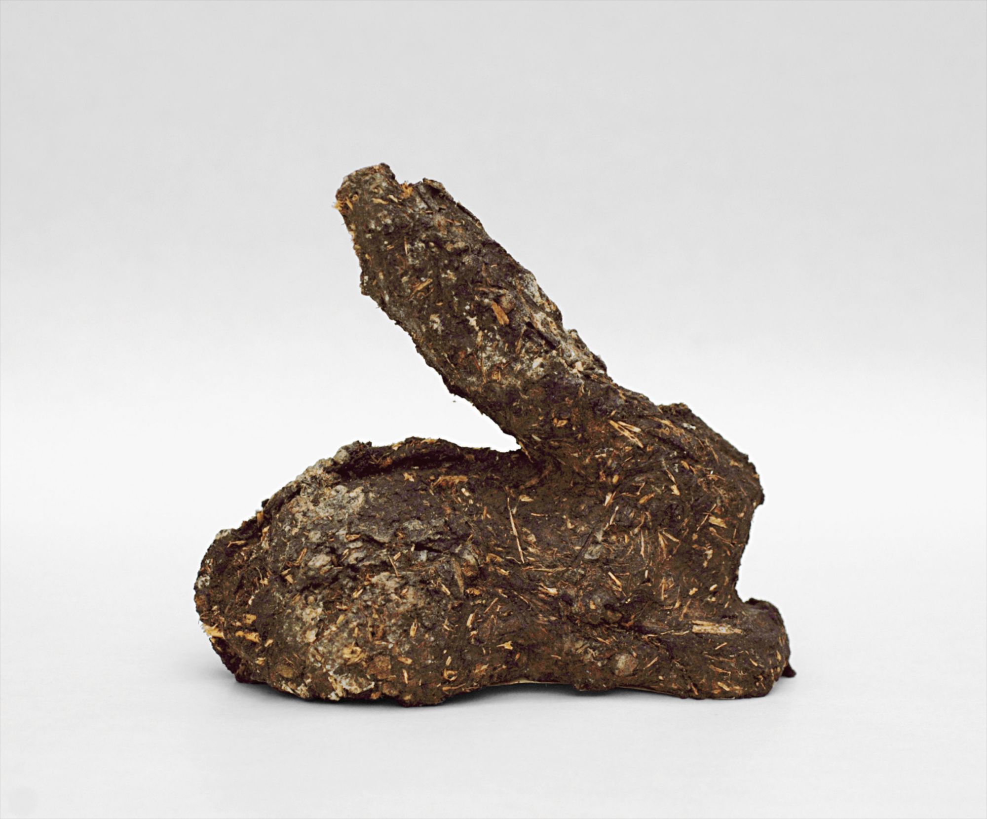 Karnickelköttelkarnickel (Rabbit-Shit-Rabbit)