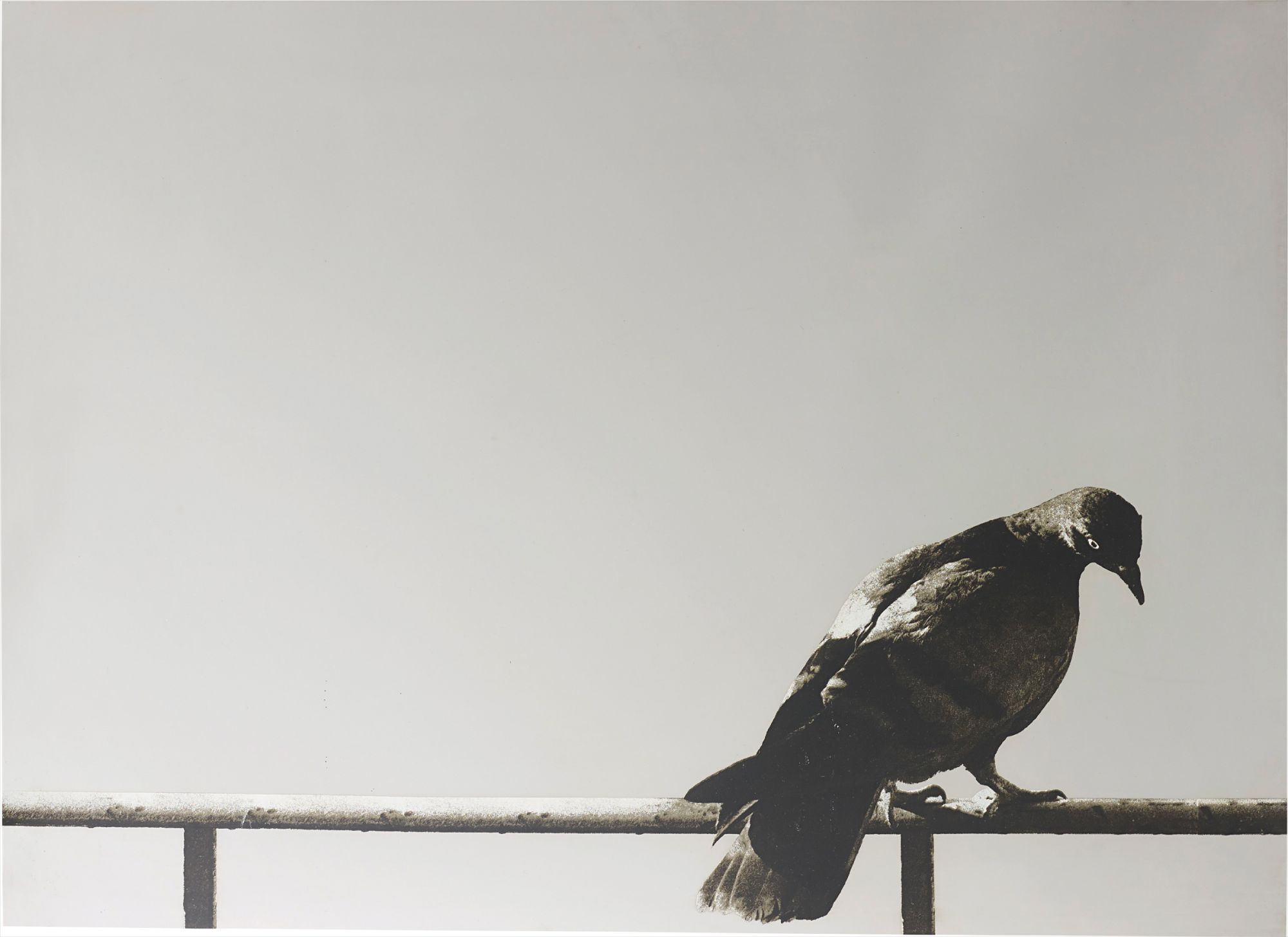 Michelangelo Pistoletto — Columba, from Hommage à Picasso