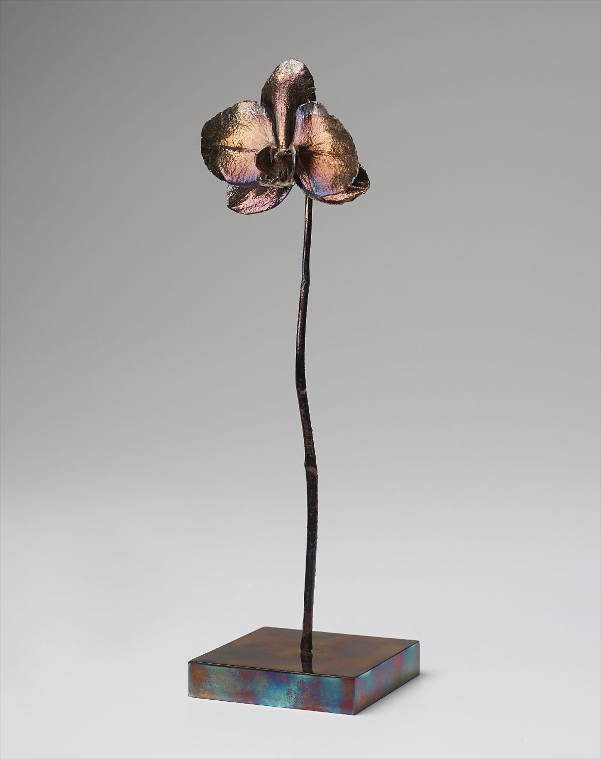 Marc Quinn — Drowned World