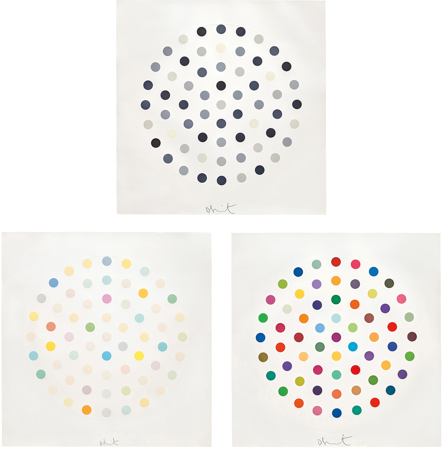 Damien Hirst — Cinchonidine; Ciclopirox Olamine; and Cineole
